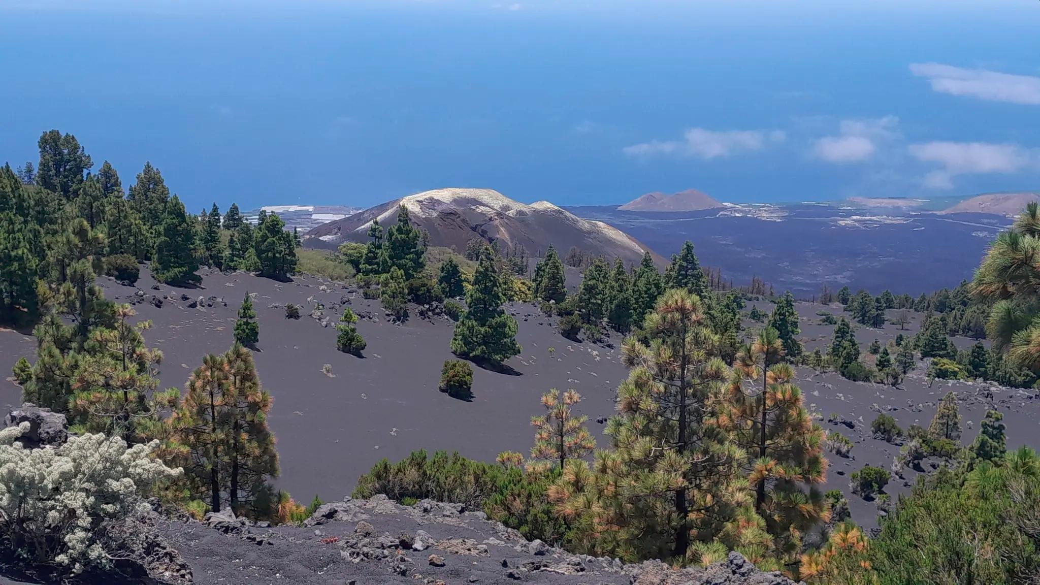 La Palma Self-Guided Road Cycling Adventure with Bike Rental