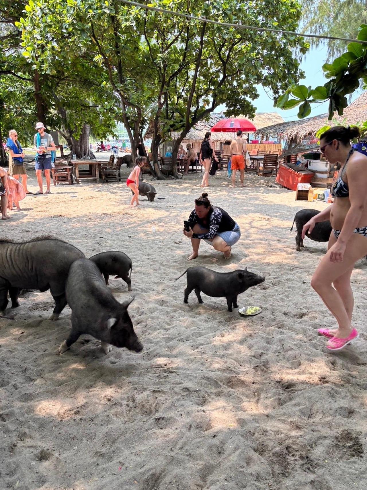 Koh Samui Jet Ski Safari: Pig Island & Five Islands