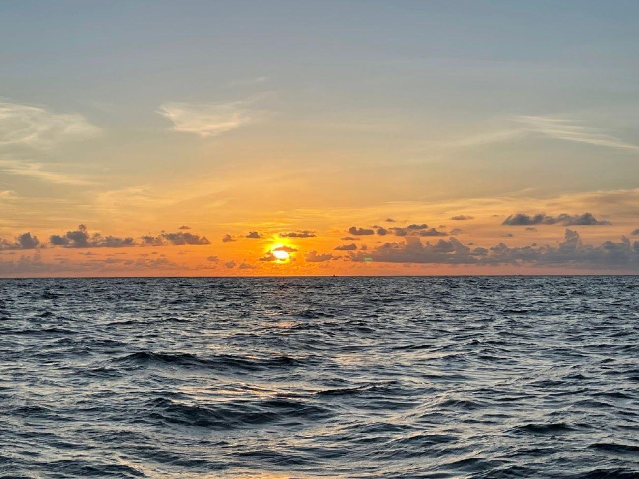 Tampa Bay Sunset Cruise with Celebrity Mansions & Wildlife Viewing