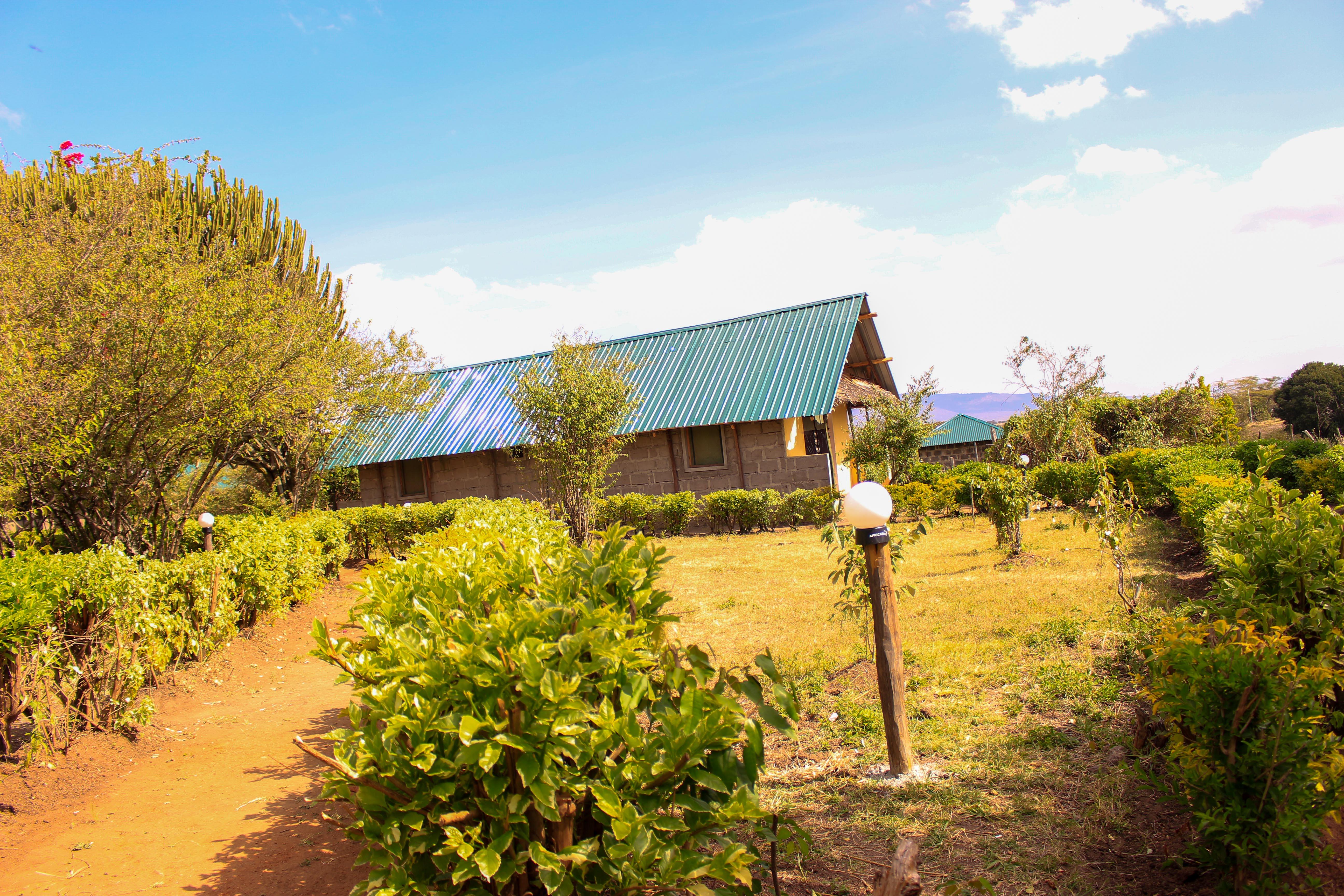 3-Day Maasai Mara Safari by 4WD Landcruiser from Nairobi