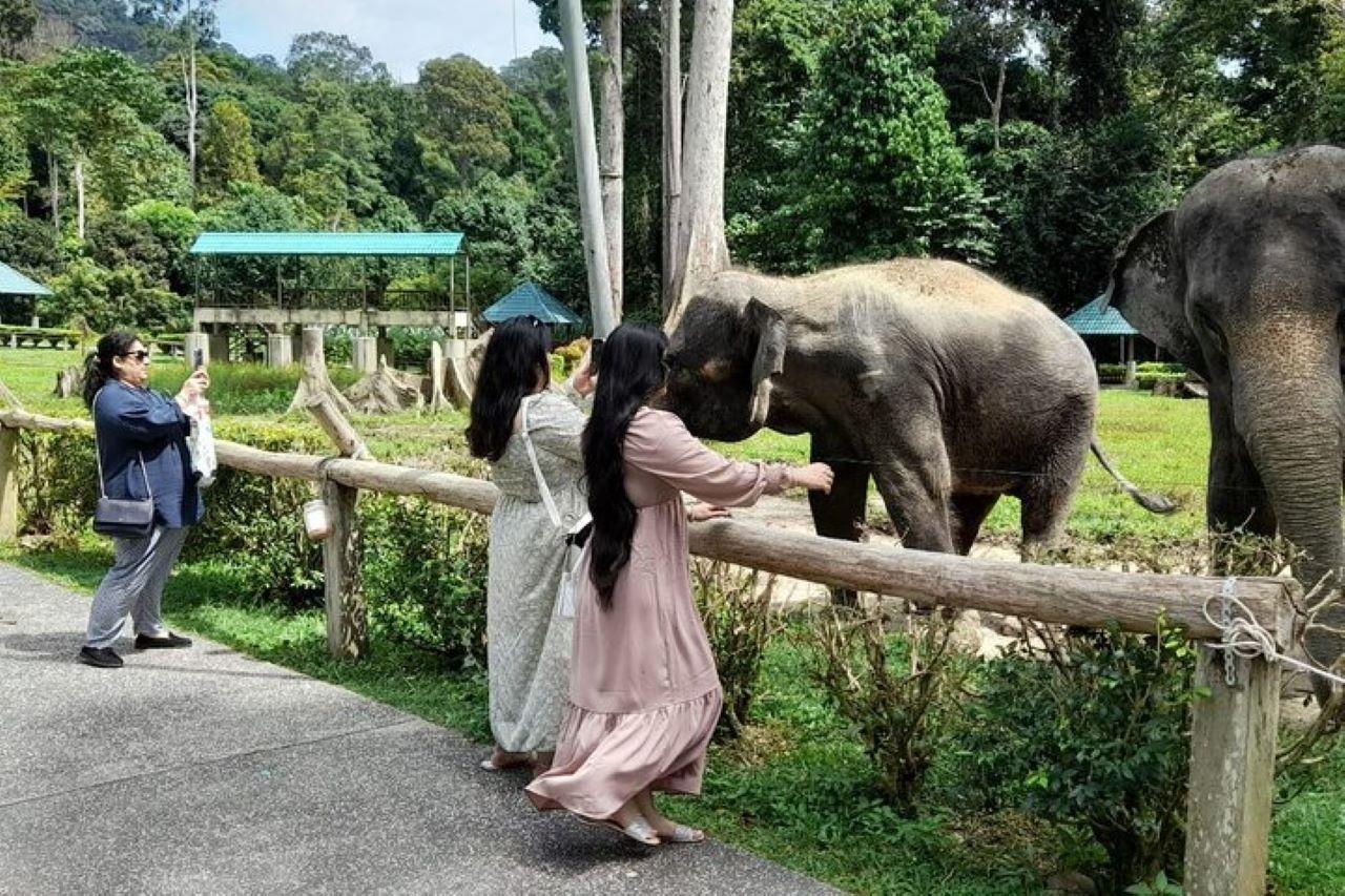 Private Batu Caves & Elephant Sanctuary Day Trip