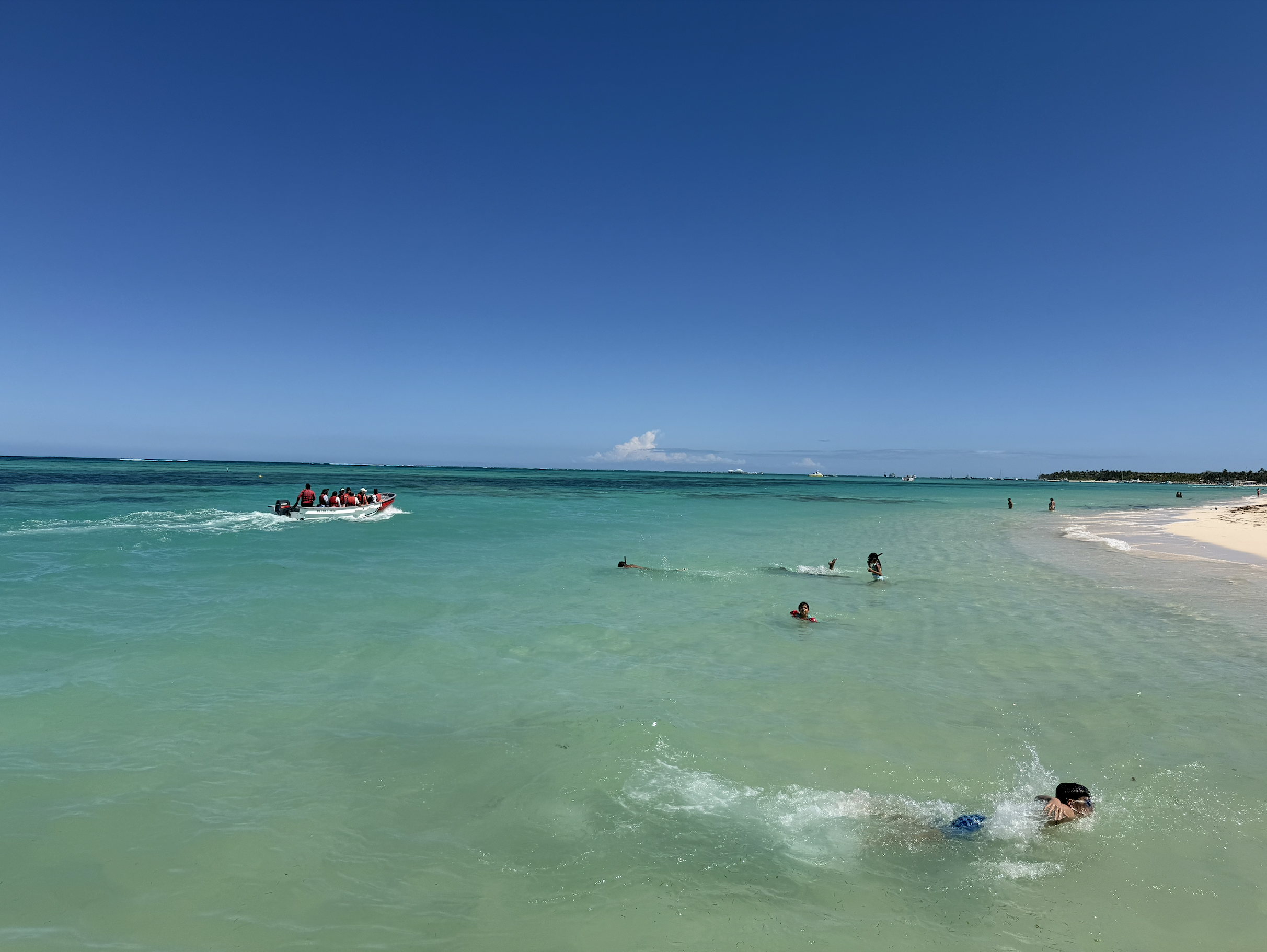 Punta Cana Catamaran & Reef Snorkel with Open Bar