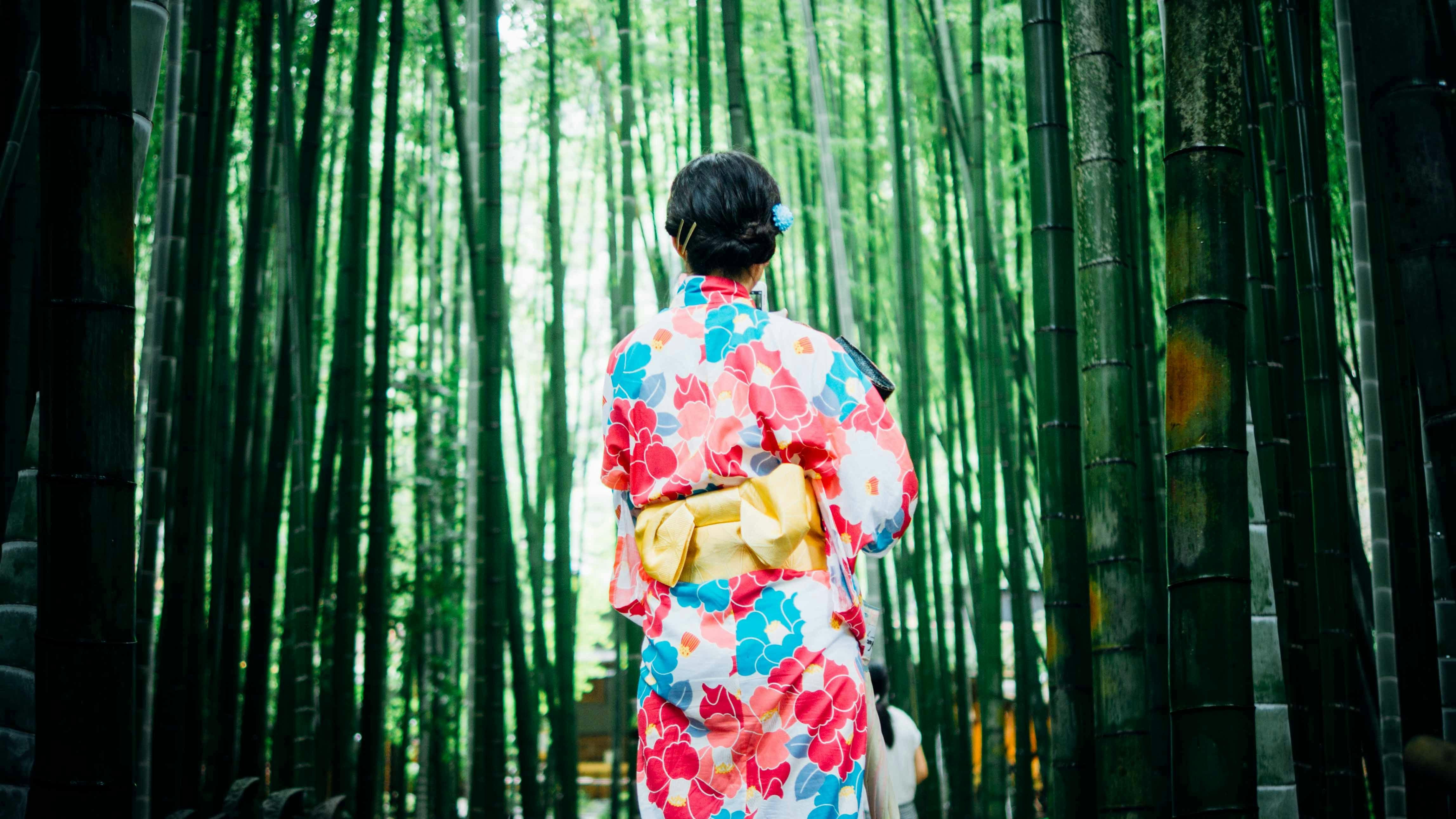 Early Morning Arashiyama: Bamboo Grove & Temple Experience
