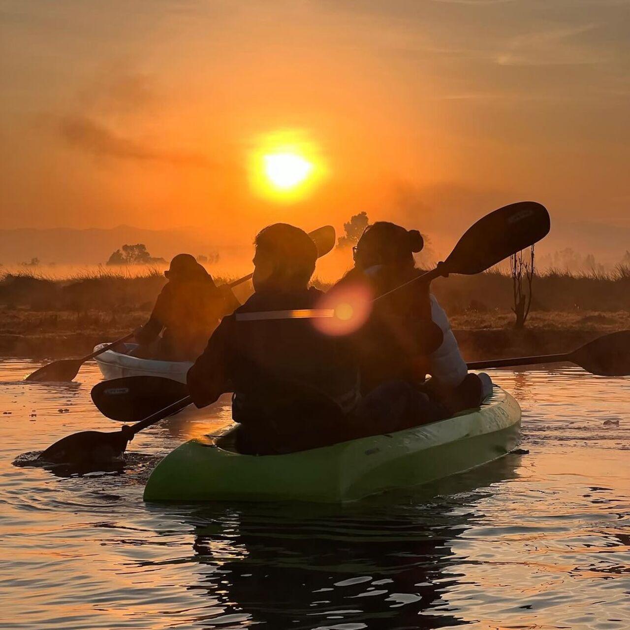 Xochimilco Kayak & Axolotl Conservation Tour
