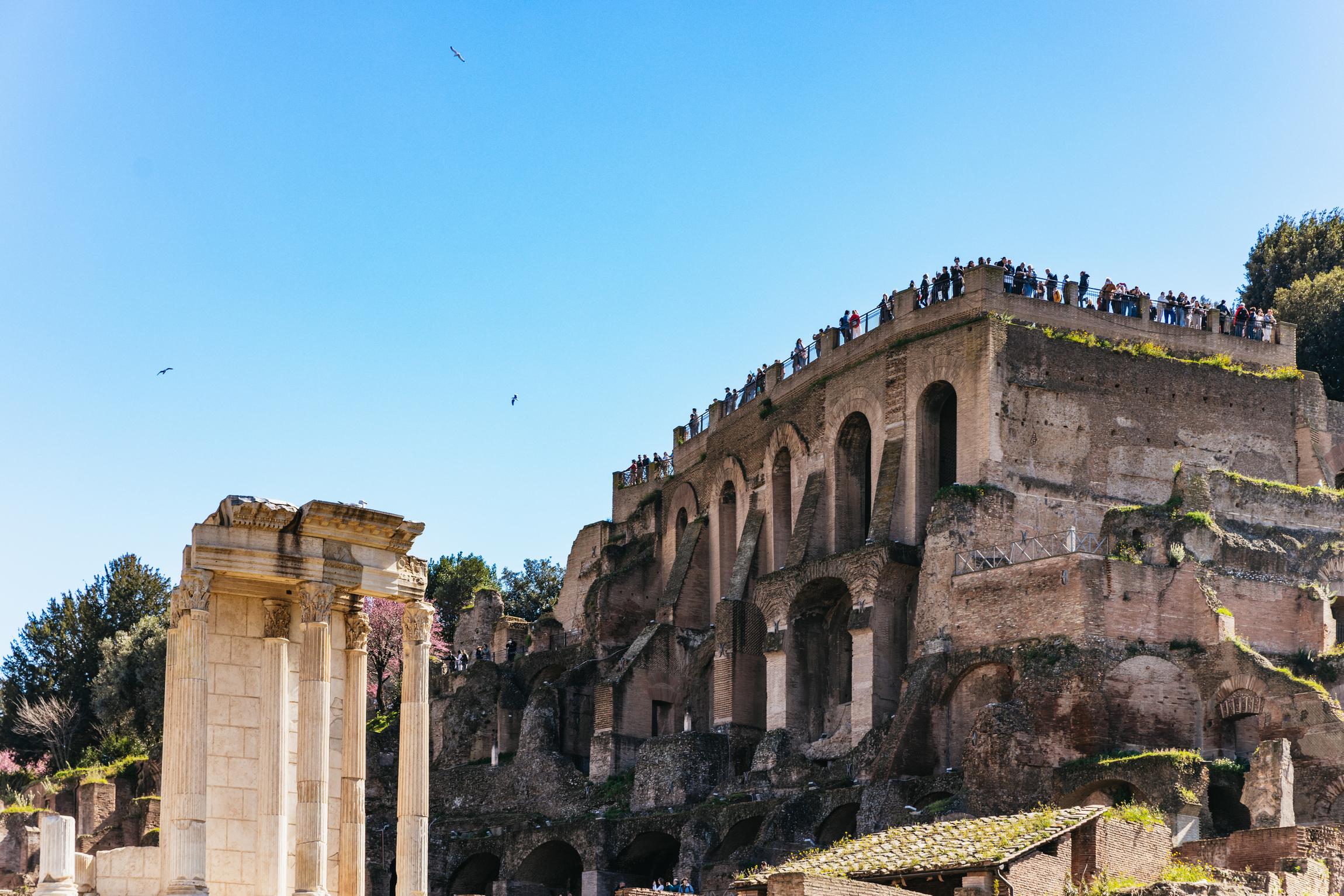 Colosseum Arena Floor & Ancient Rome Guided Expedition