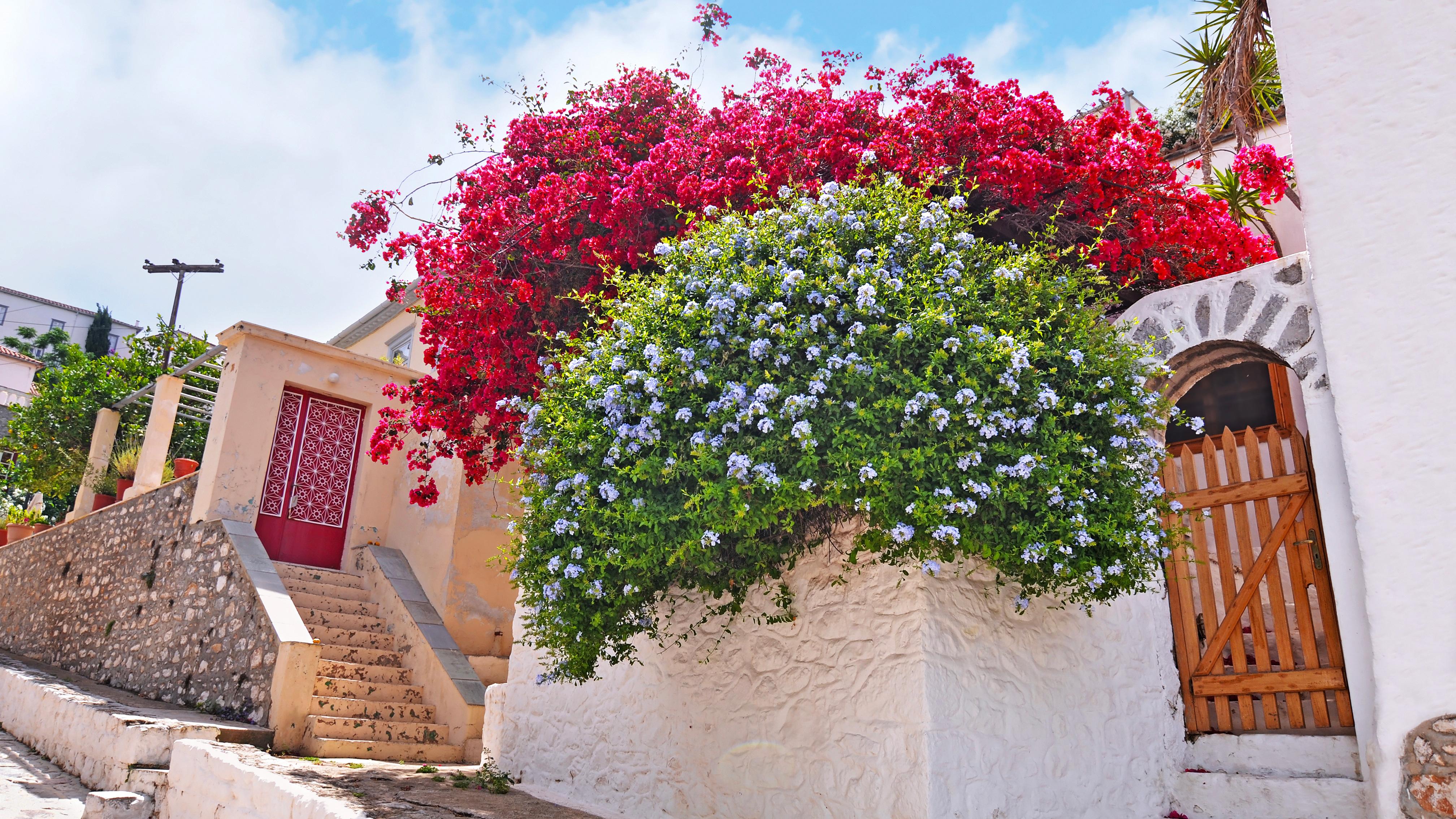 Hydra Island: Full Day Trip From Nafplio with Swimming