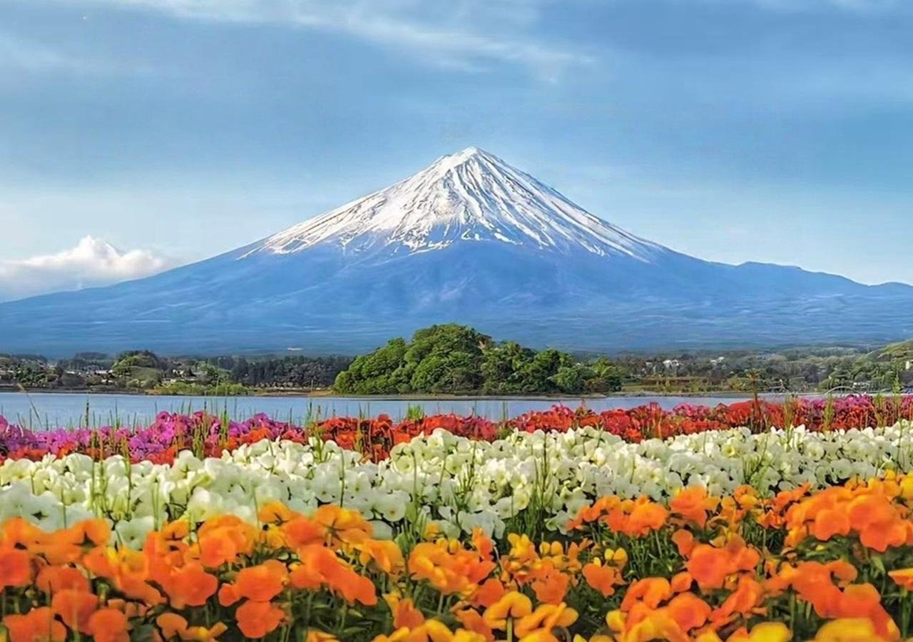 Mt. Fuji Heritage & Culture Day Trip