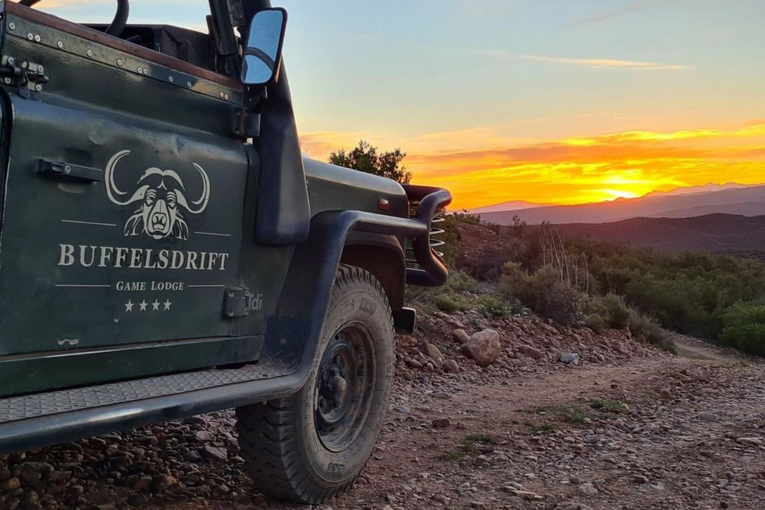 Cape Town to Garden Route: 2-Day Big Five Safari Adventure