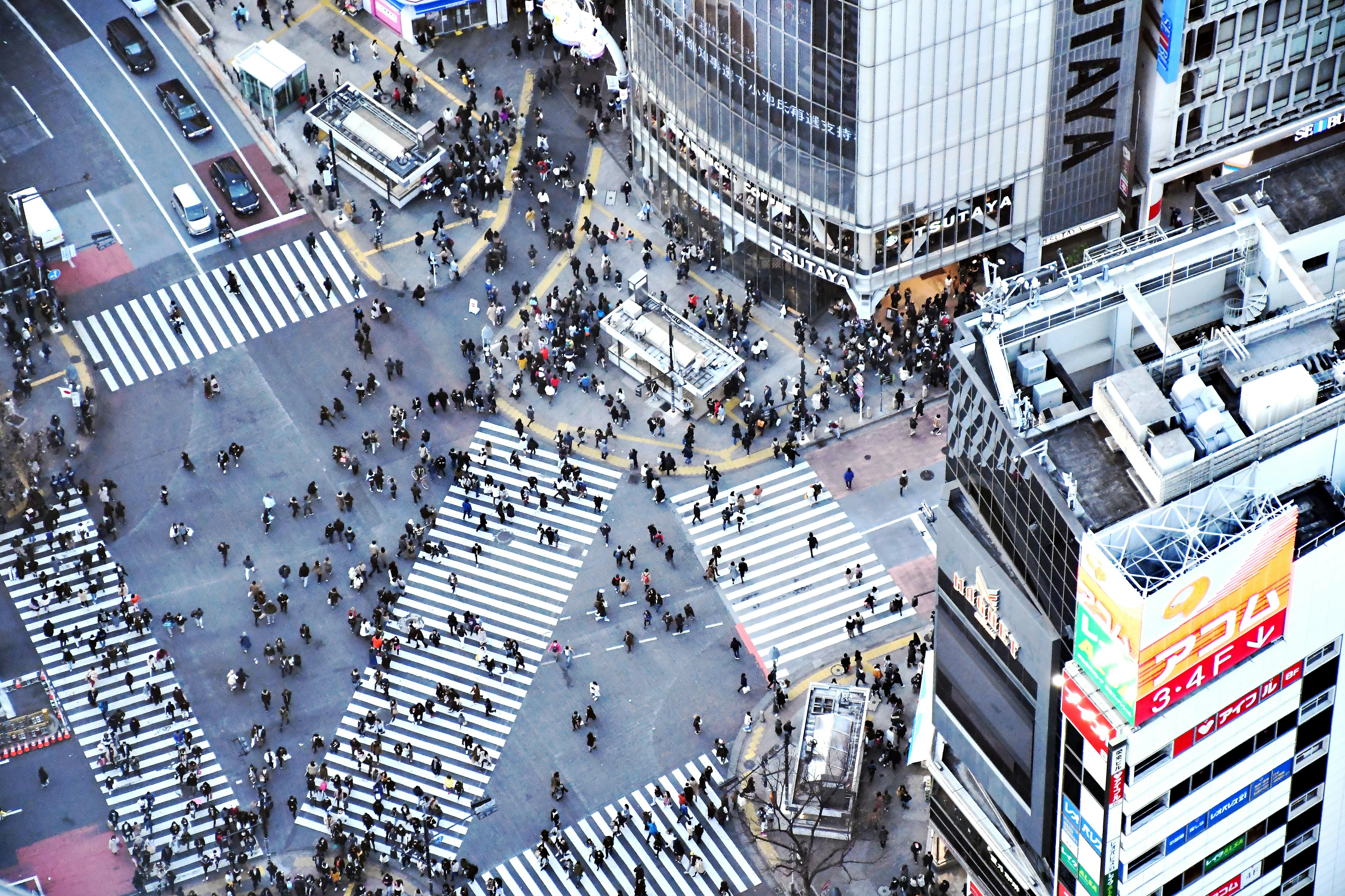 Shibuya After Dark: Night Walking Tour & Tokyo Rooftop Views