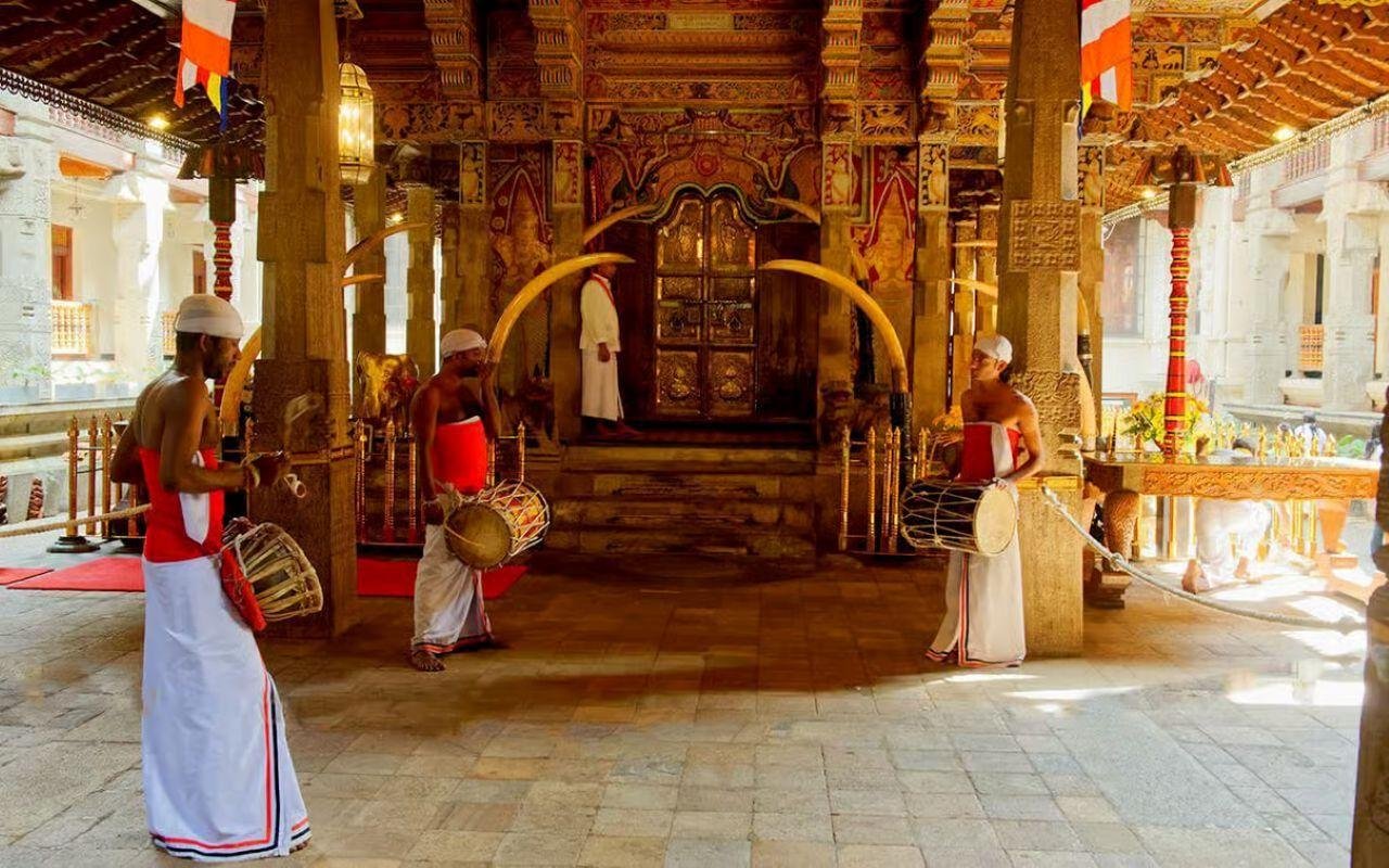 Kandy, Pinnawala & Tea Country Full-Day Excursion
