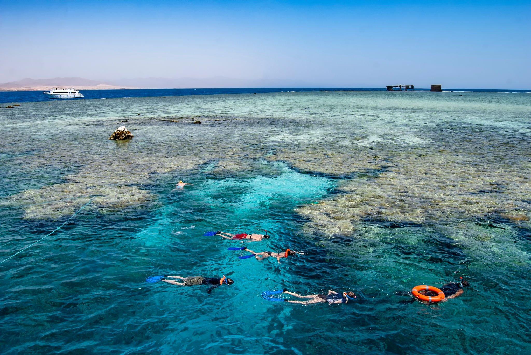 Tiran Island Snorkel & Dive Cruise from Sharm El-Sheikh with Buffet Lunch