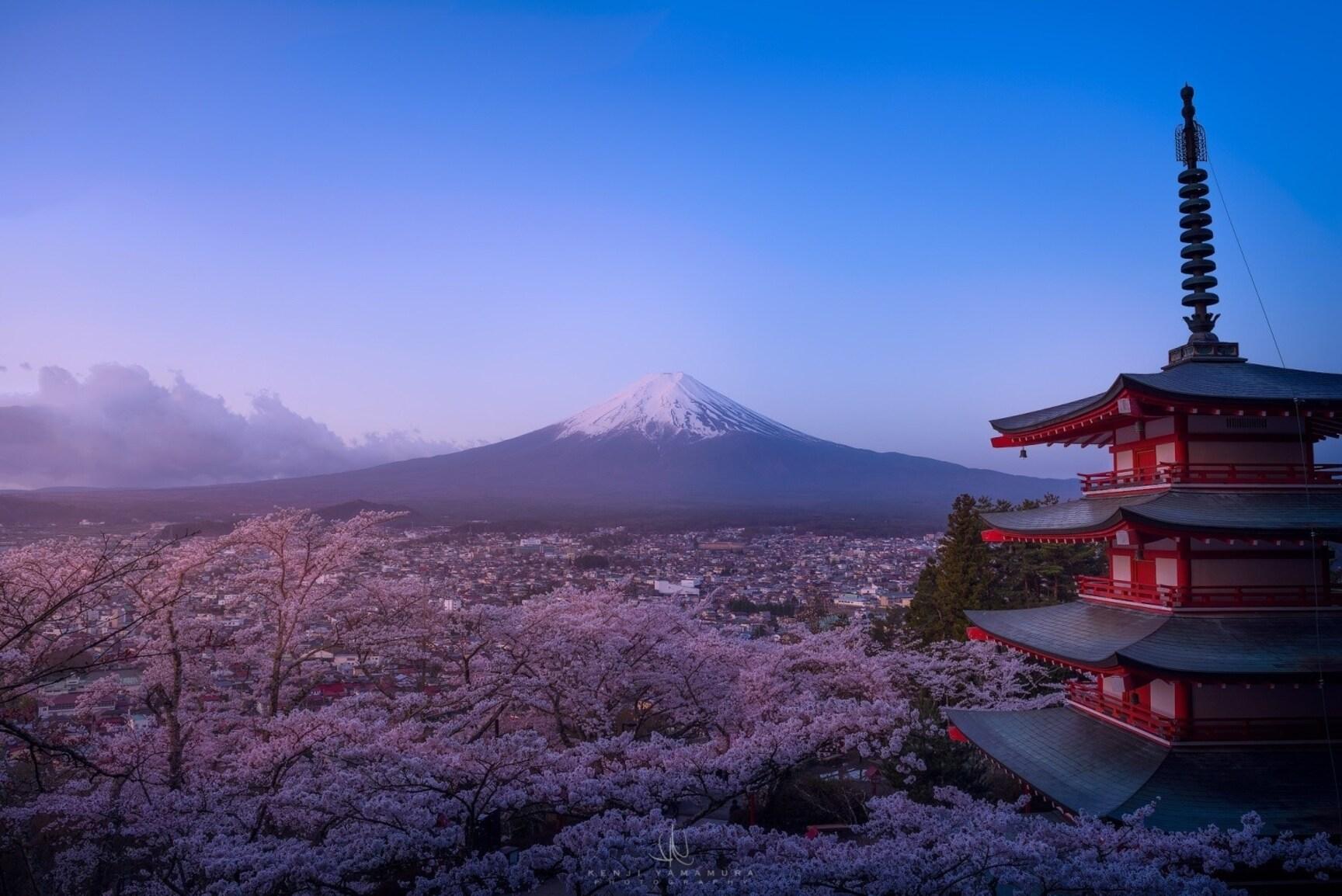 Mt. Fuji Seasonal Discovery: Fruit Picking & Scenic Train Day Tour