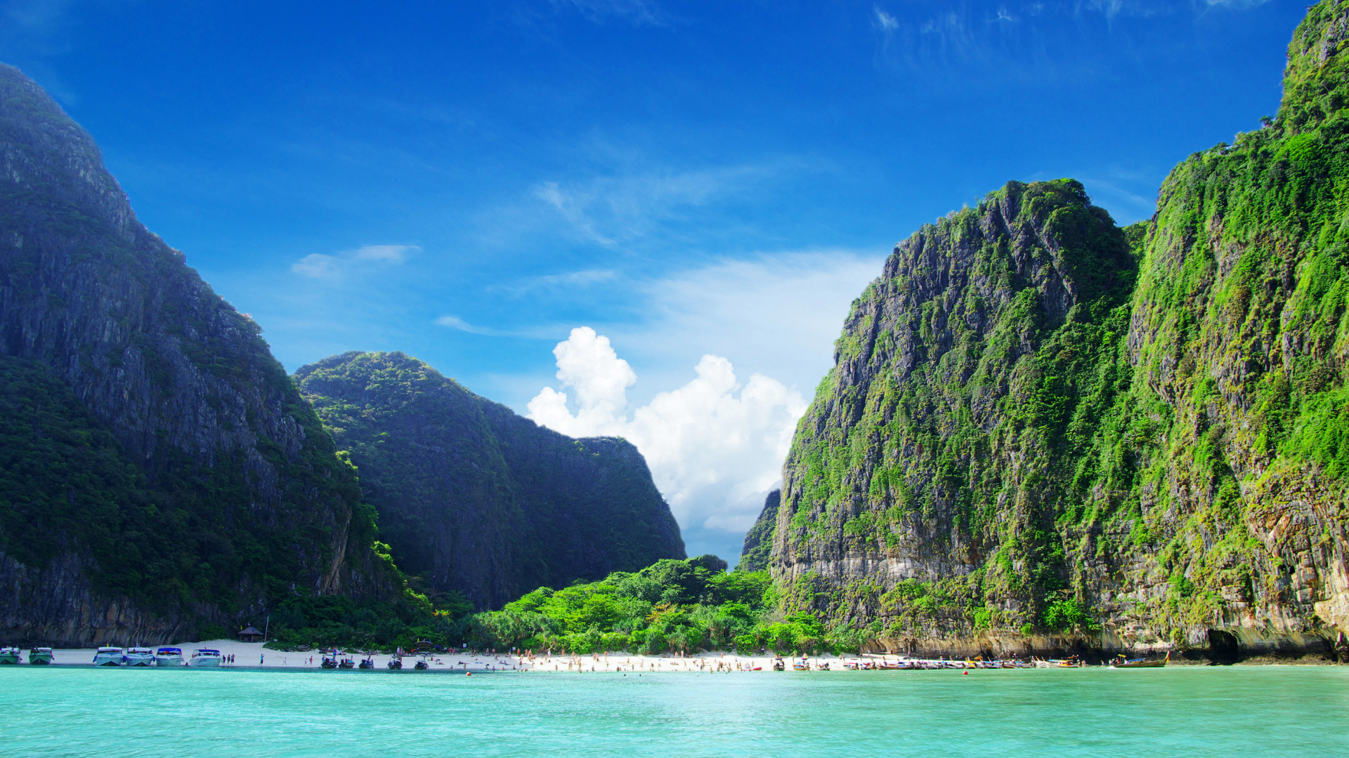 Phuket: Phi Phi Islands & Maya Bay Speedboat Day Trip with Lunch