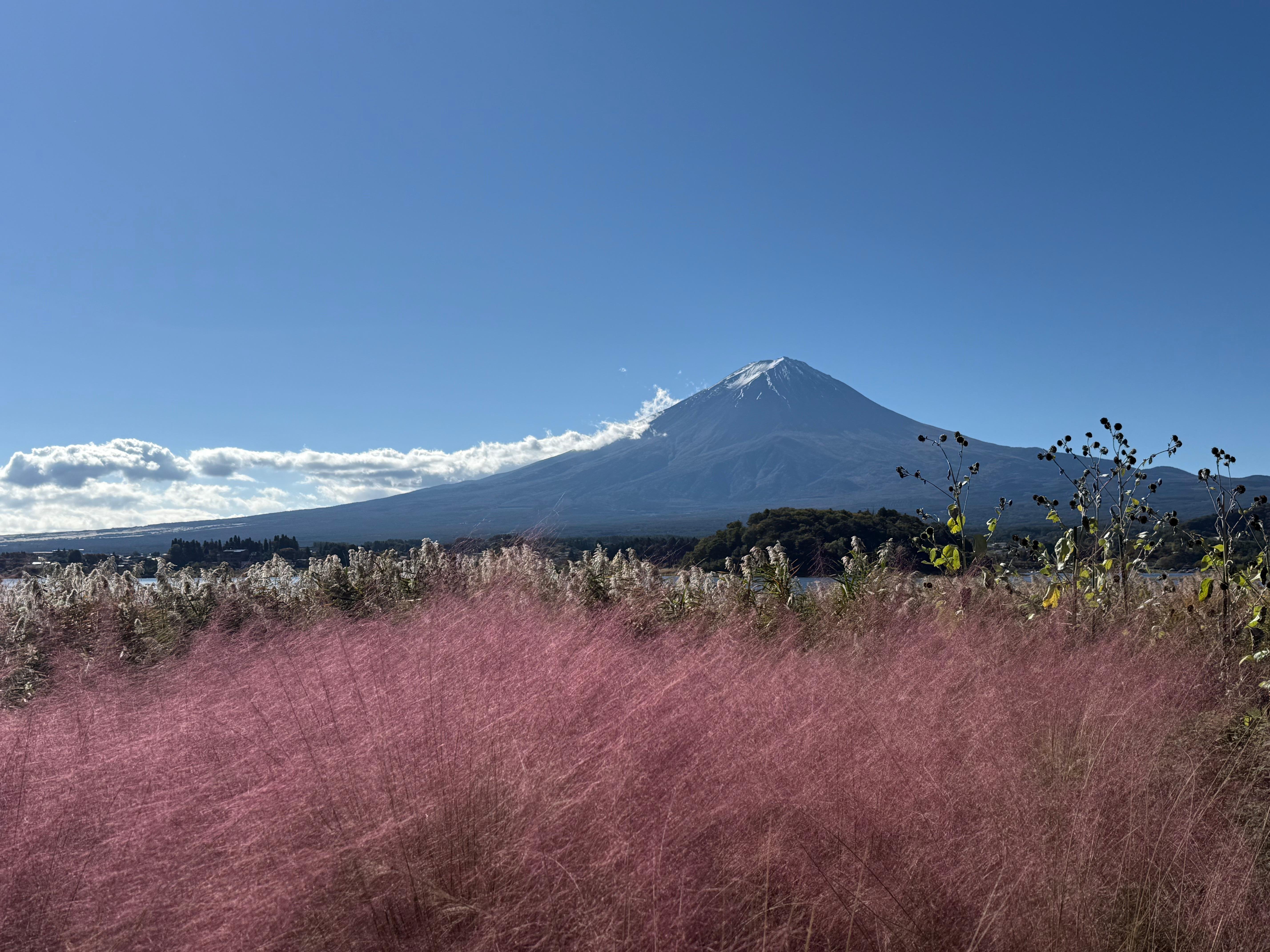Tokyo to Mt. Fuji & Hakone Private Day Tour