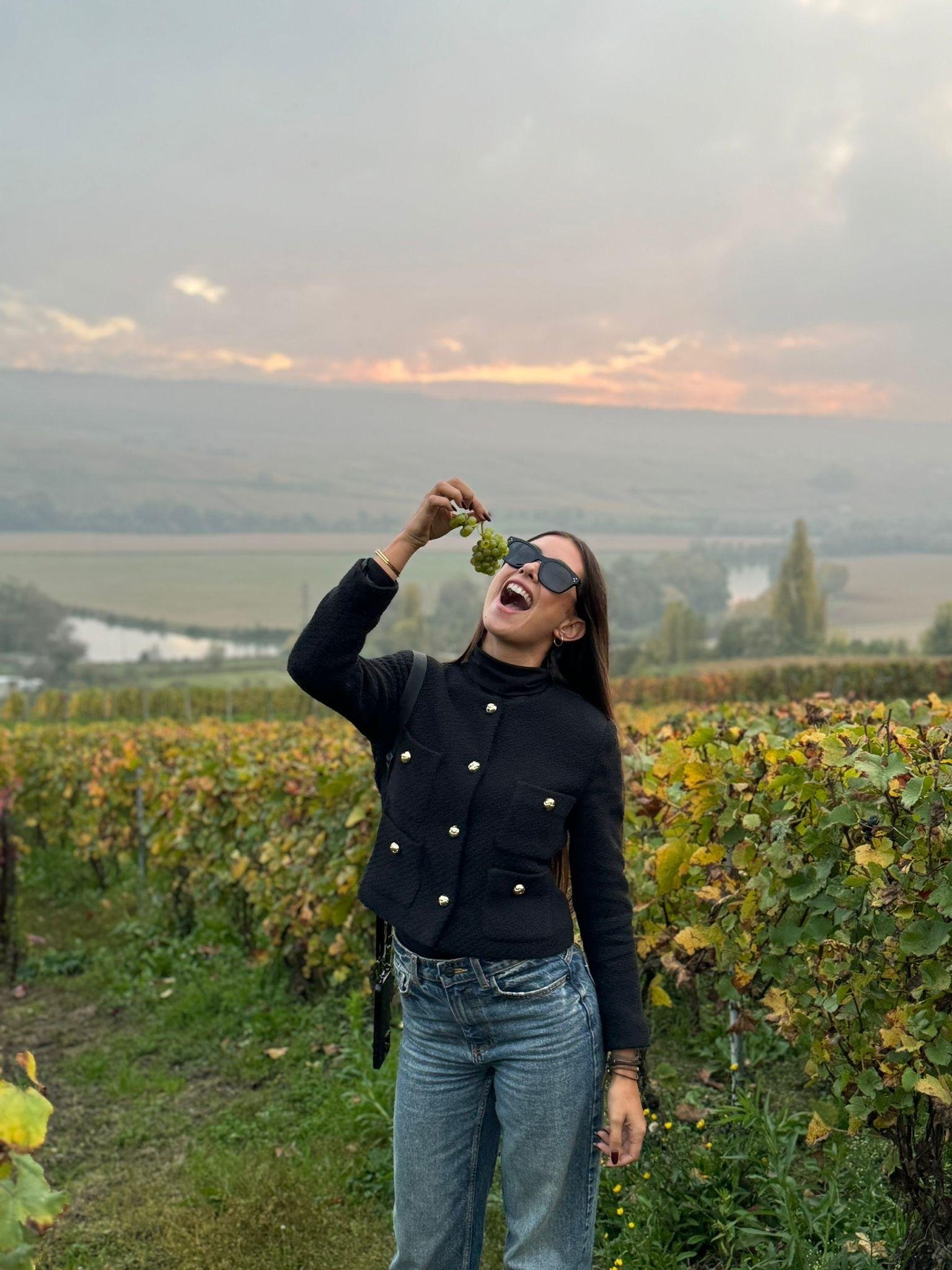 Moët & Chandon Champagne tour — Avenue de Champagne, 28 km chalk cellars, riddling racks, Dom Pérignon — image 6