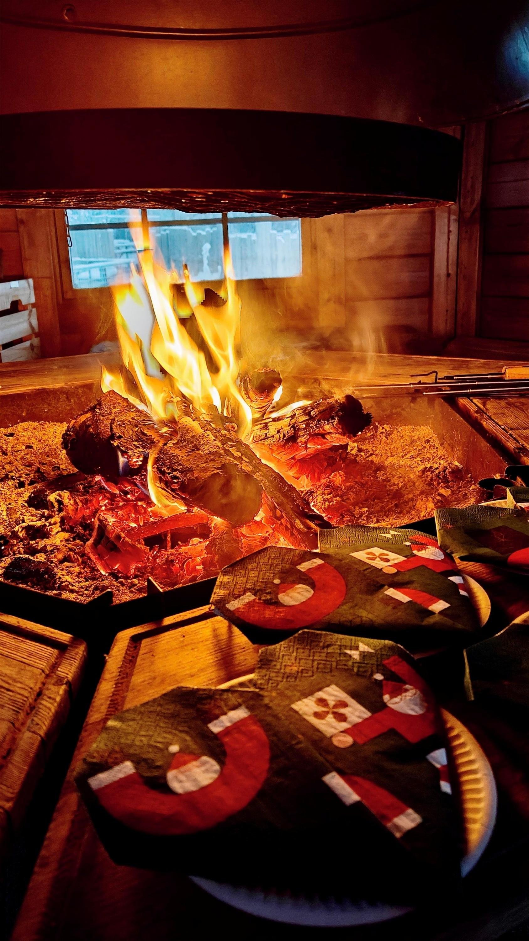 Rovaniemi Husky Safari with Transfers & Fireside BBQ