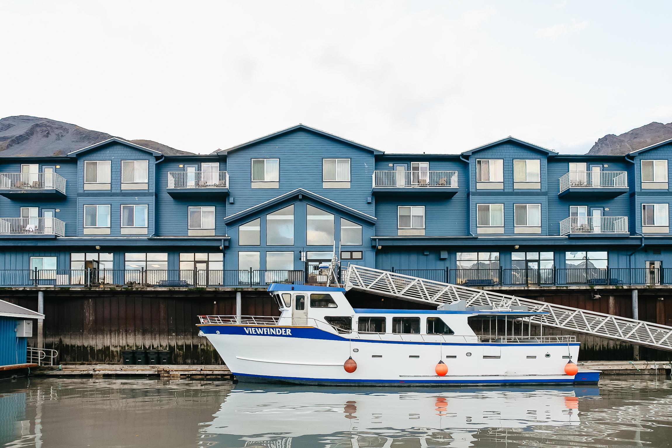 Kenai Fjords glacier cruise from Seward — tidewater glaciers and Alaska marine wildlife — image 5