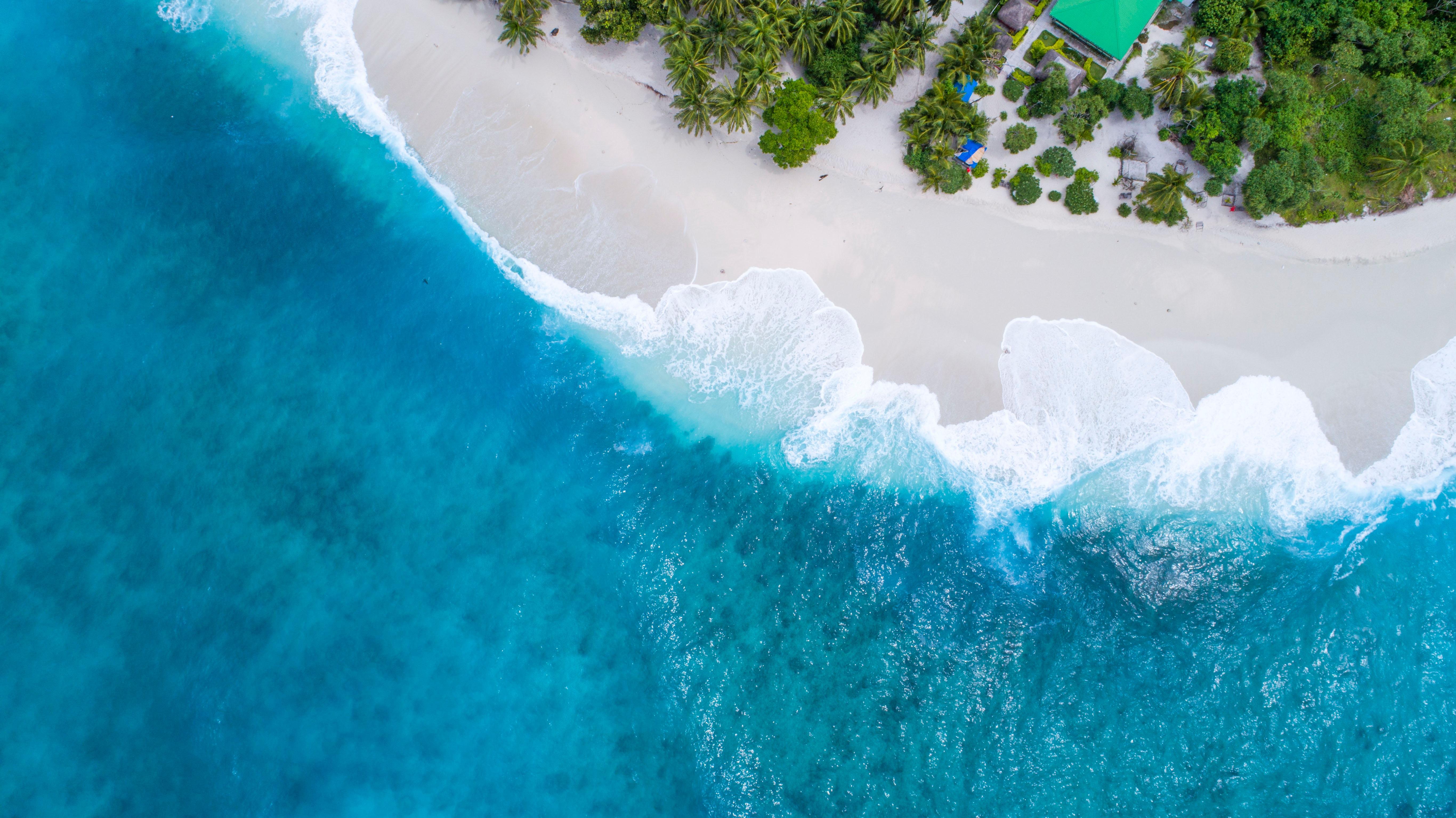 Bahamas Day Escape: Bimini or Grand Bahama Ferry