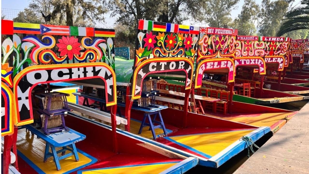 Xochimilco Canals, Coyoacán & University City Cultural Tour
