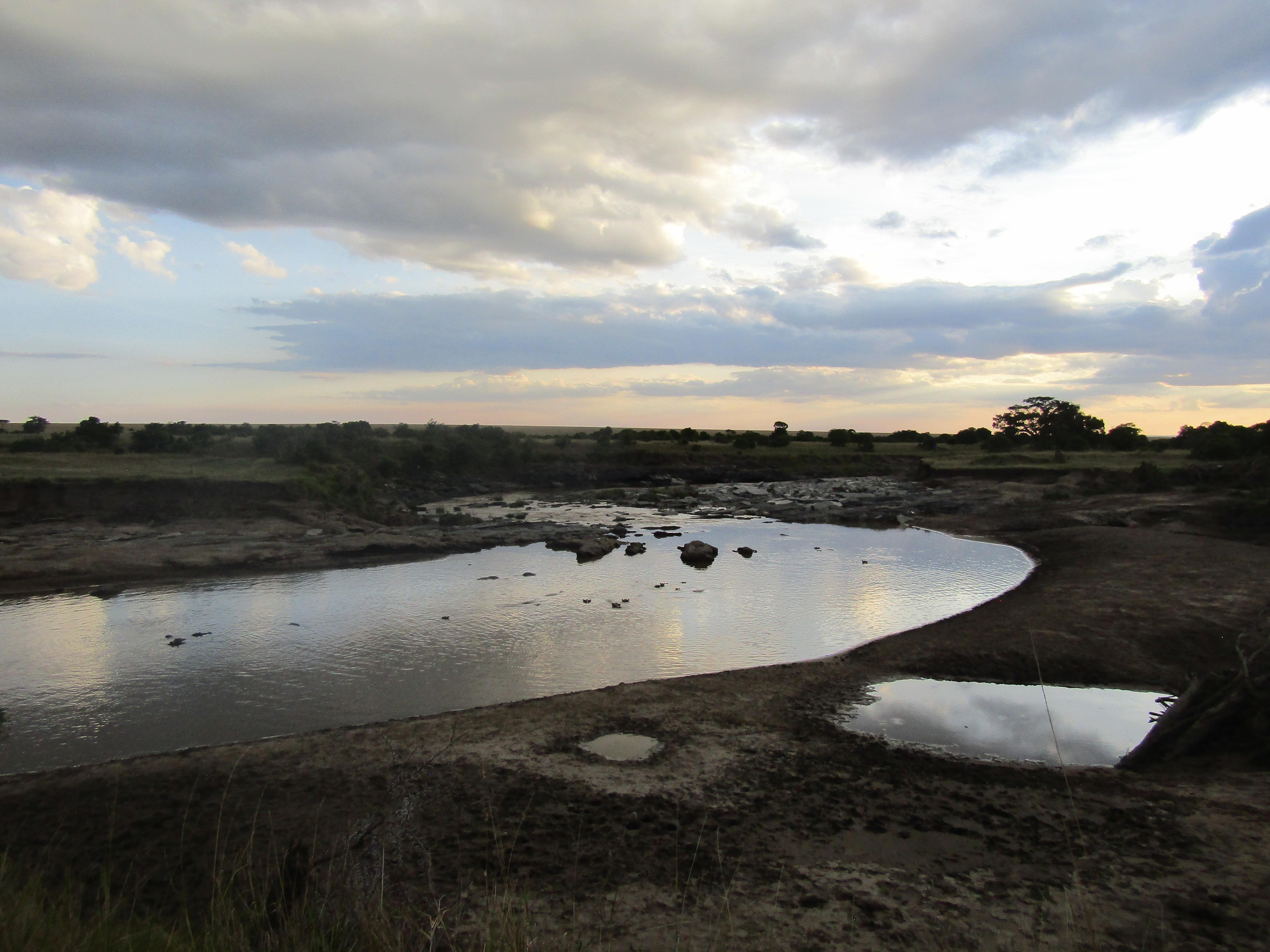 3-Day Masai Mara Safari Adventure from Nairobi