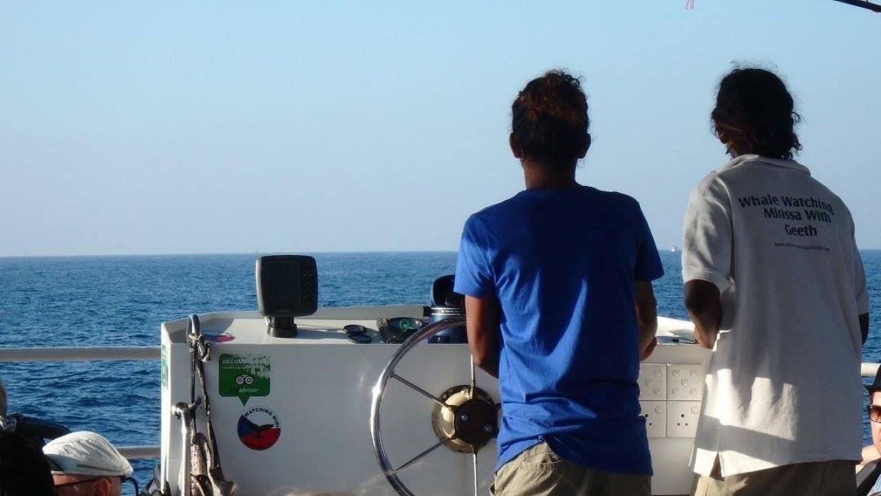 Mirissa Whale & Dolphin Watching Expedition