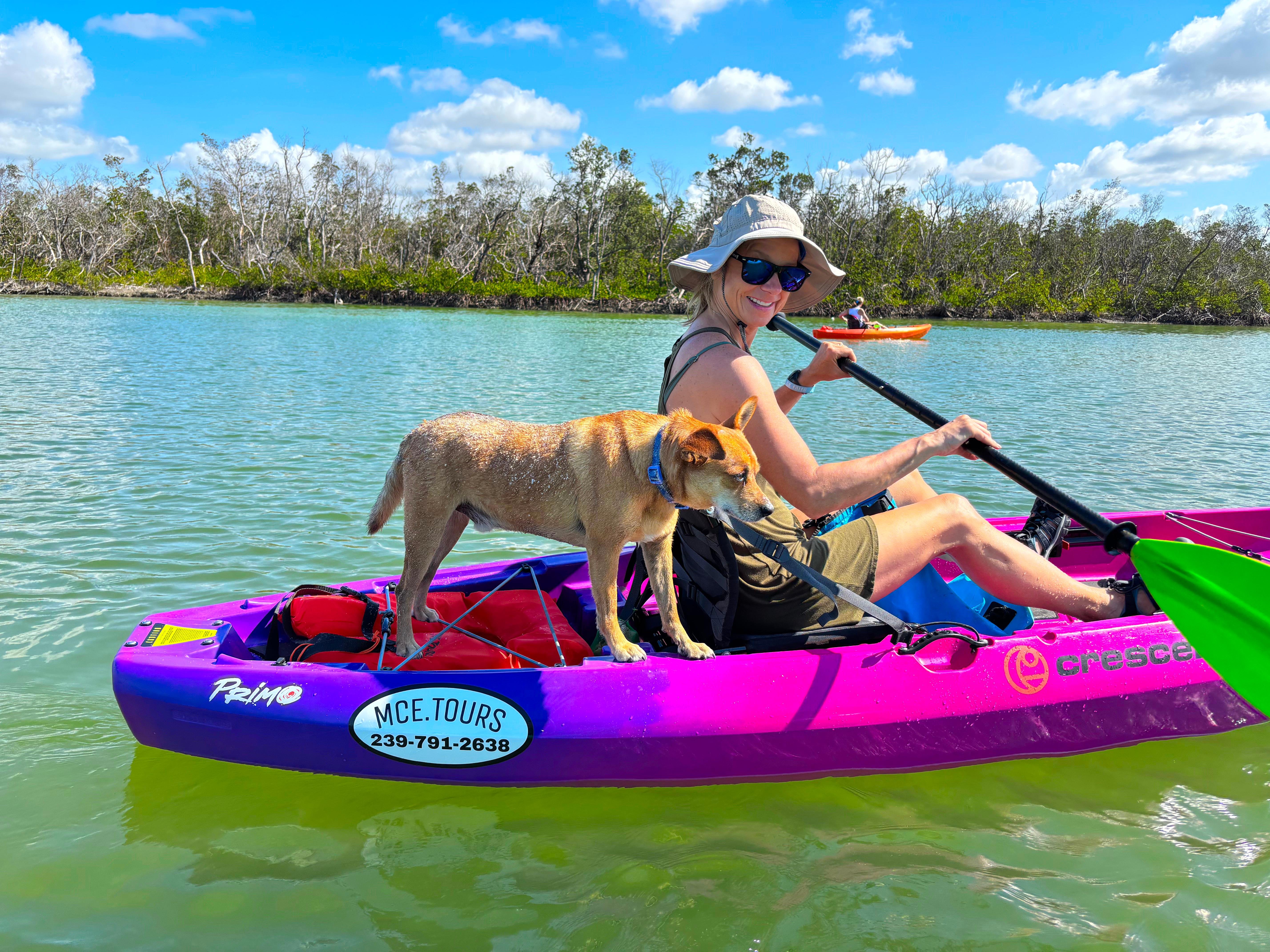 Clear Kayak Adventure with Dolphins & Manatees