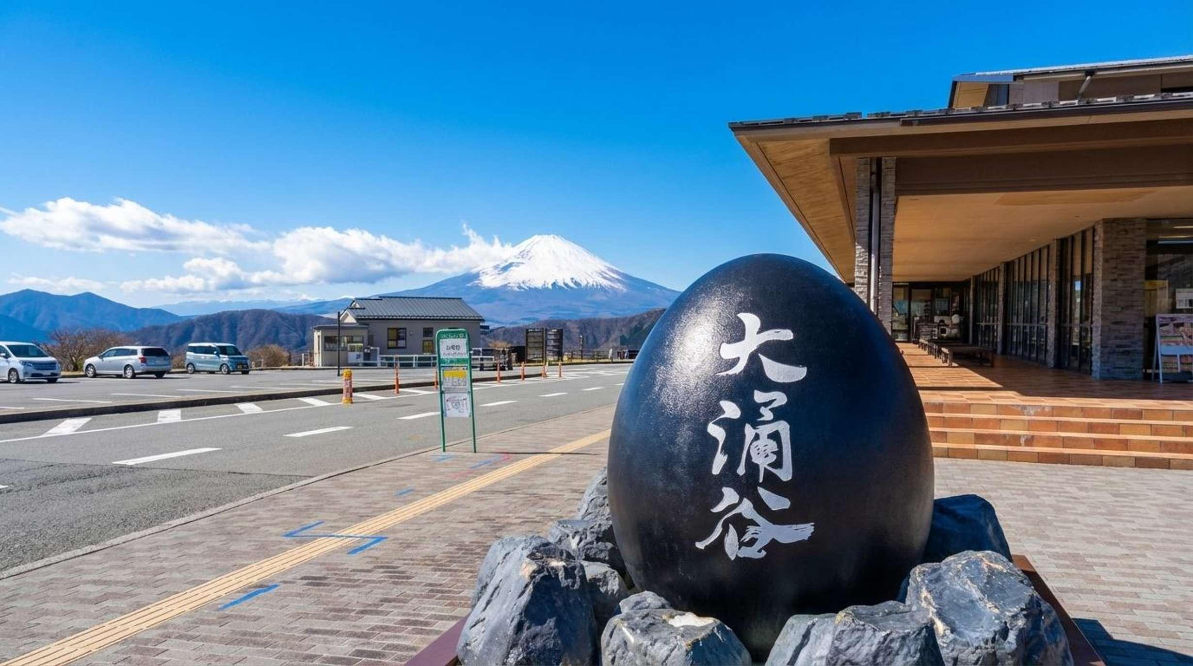 Mount Fuji Private Guided Day Tour from Tokyo