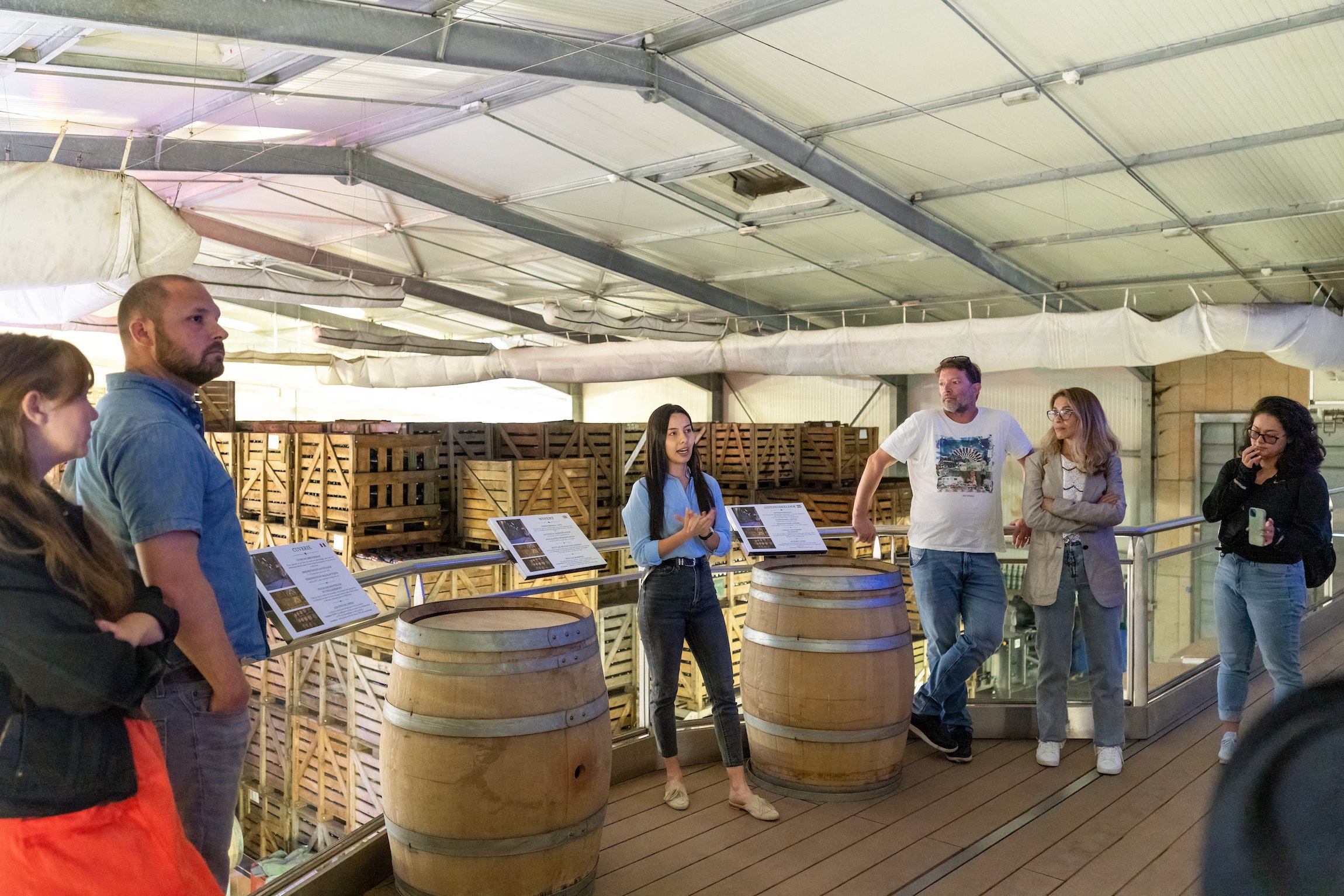 Champagne day trip from Paris — cellars, vineyards, and tastings — image 23