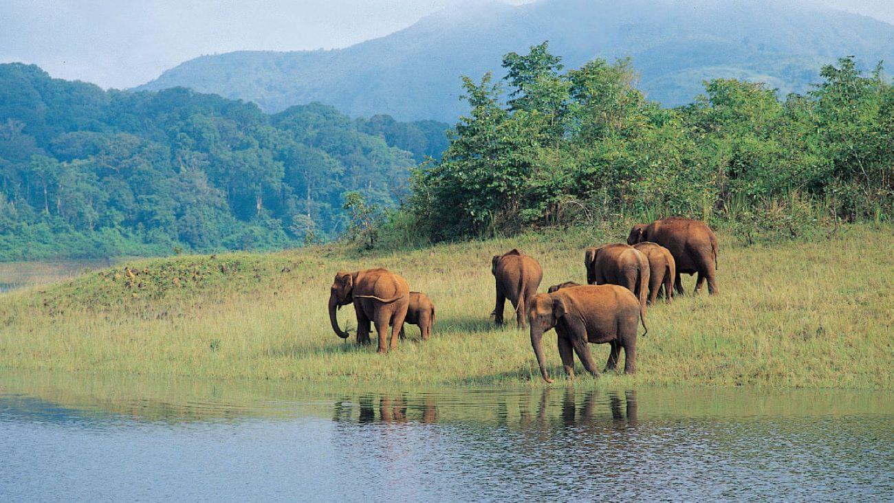 6-Day Kerala Backwaters and Houseboat Private Expedition