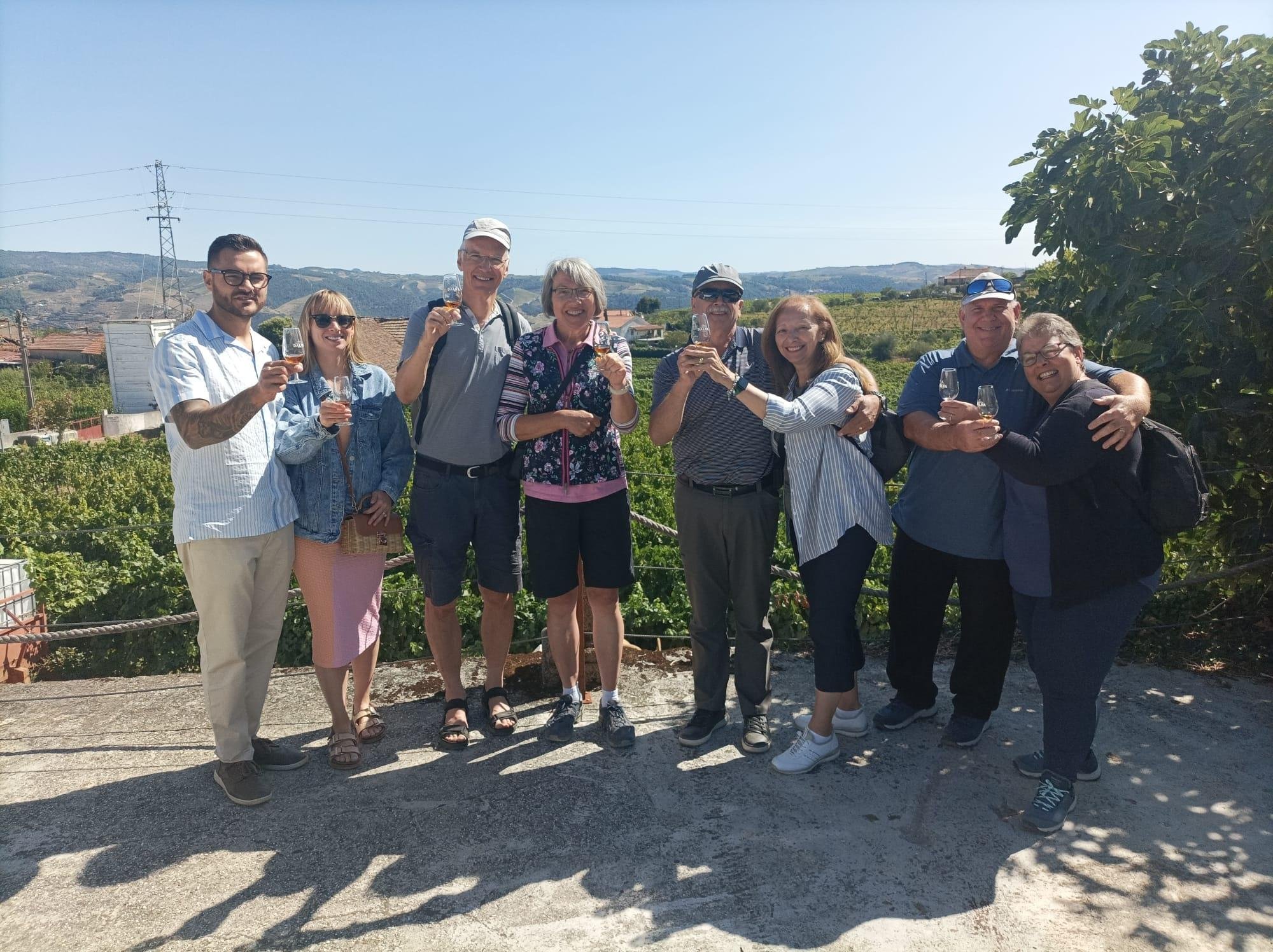 Douro Valley Small-Group Wine & River Cruise Day Trip from Porto