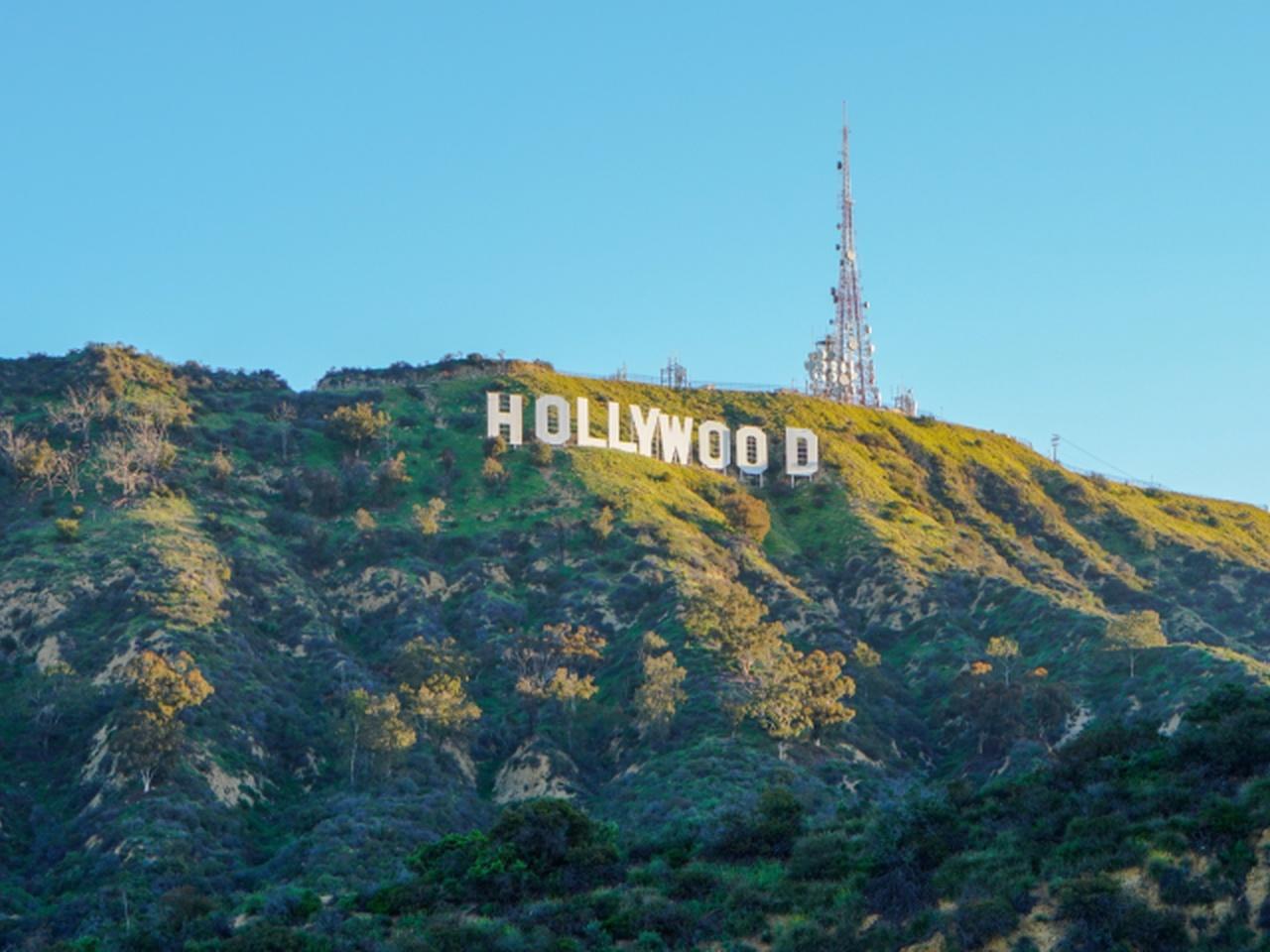 Hollywood & LA Highlights Full-Day Tour from Anaheim