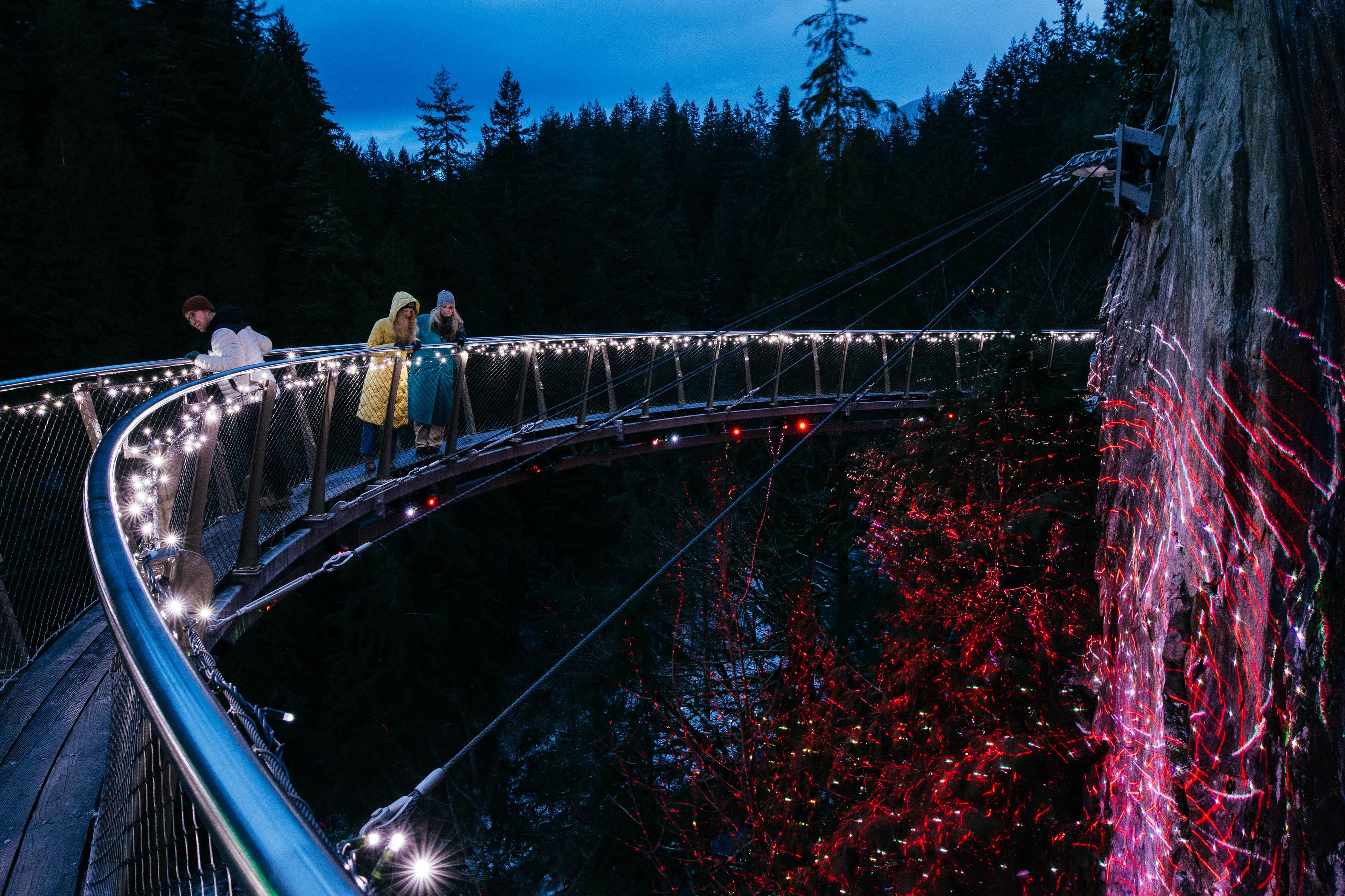 Capilano Suspension Bridge Park Entry