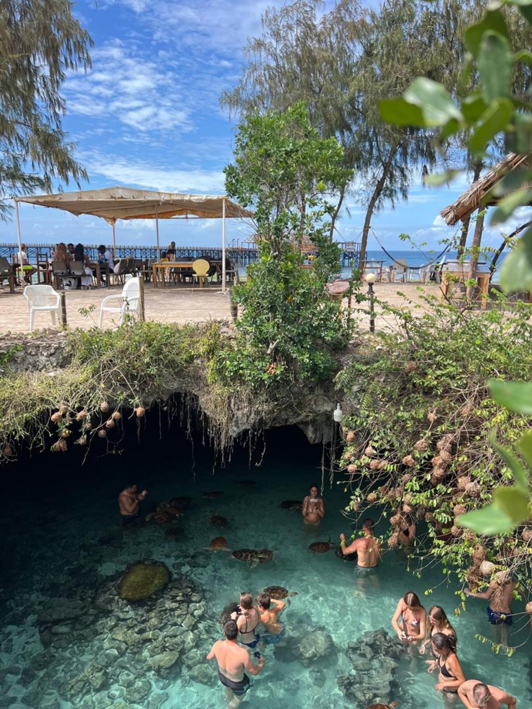 Zanzibar: Jozani Forest & Salaam Cave Sea Turtle Tour