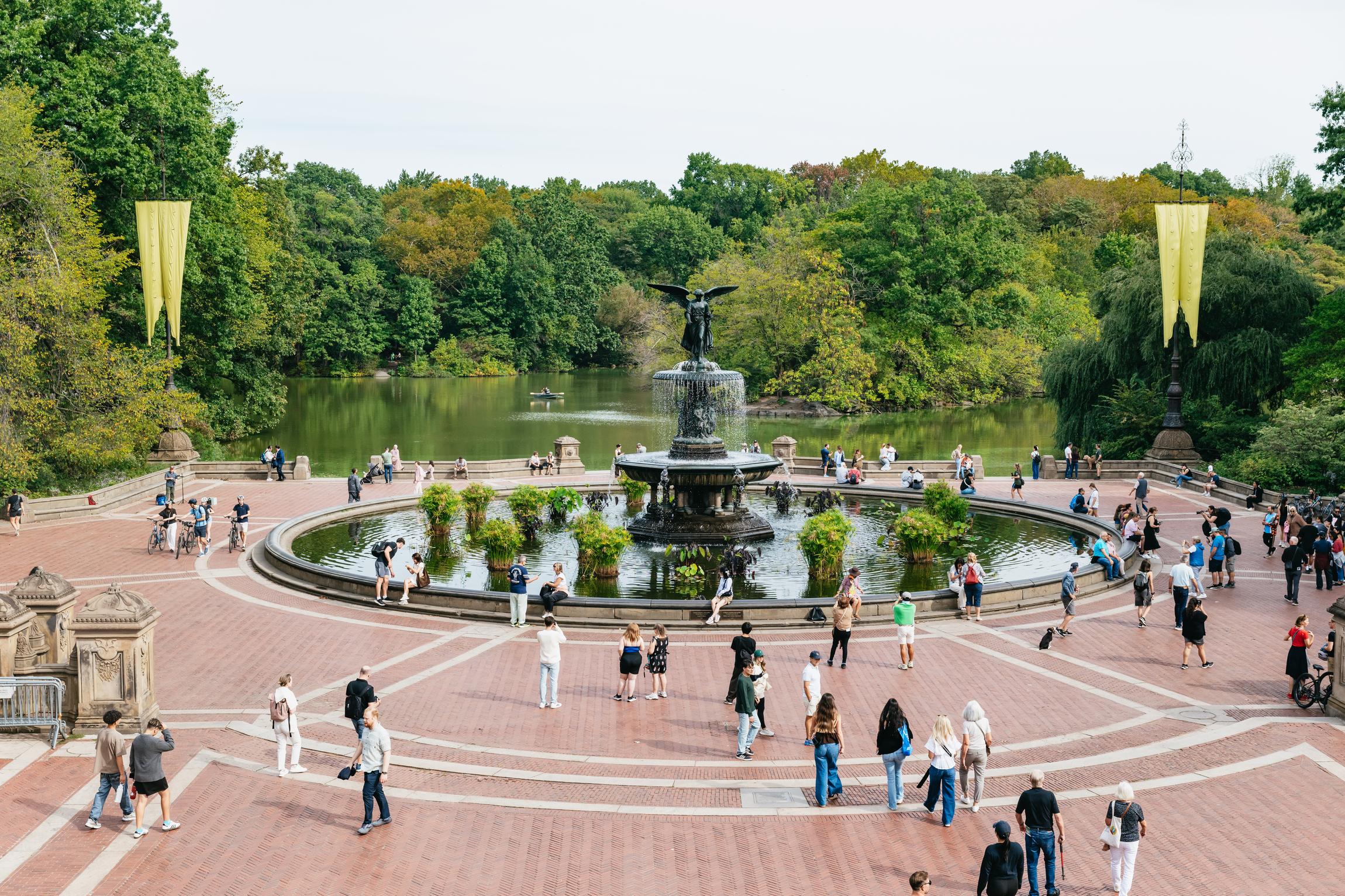Central Park Private Pedicab Tour with Photographer