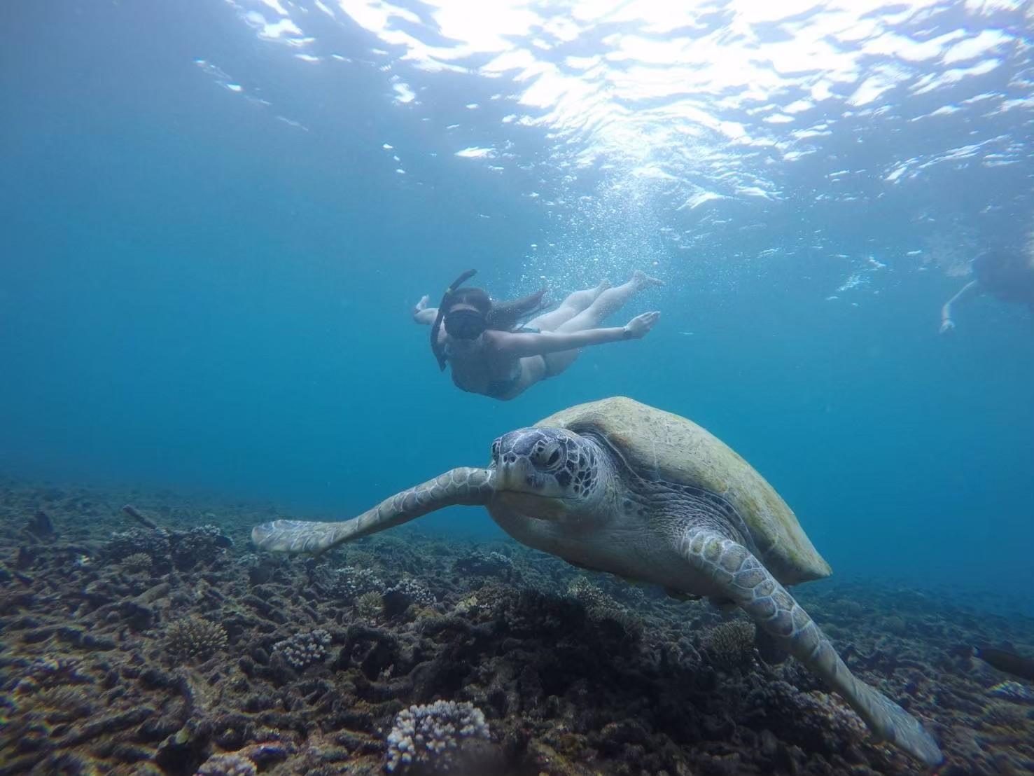 Speedboat Snorkel Expedition to Koh Tao & Koh Nang Yuan