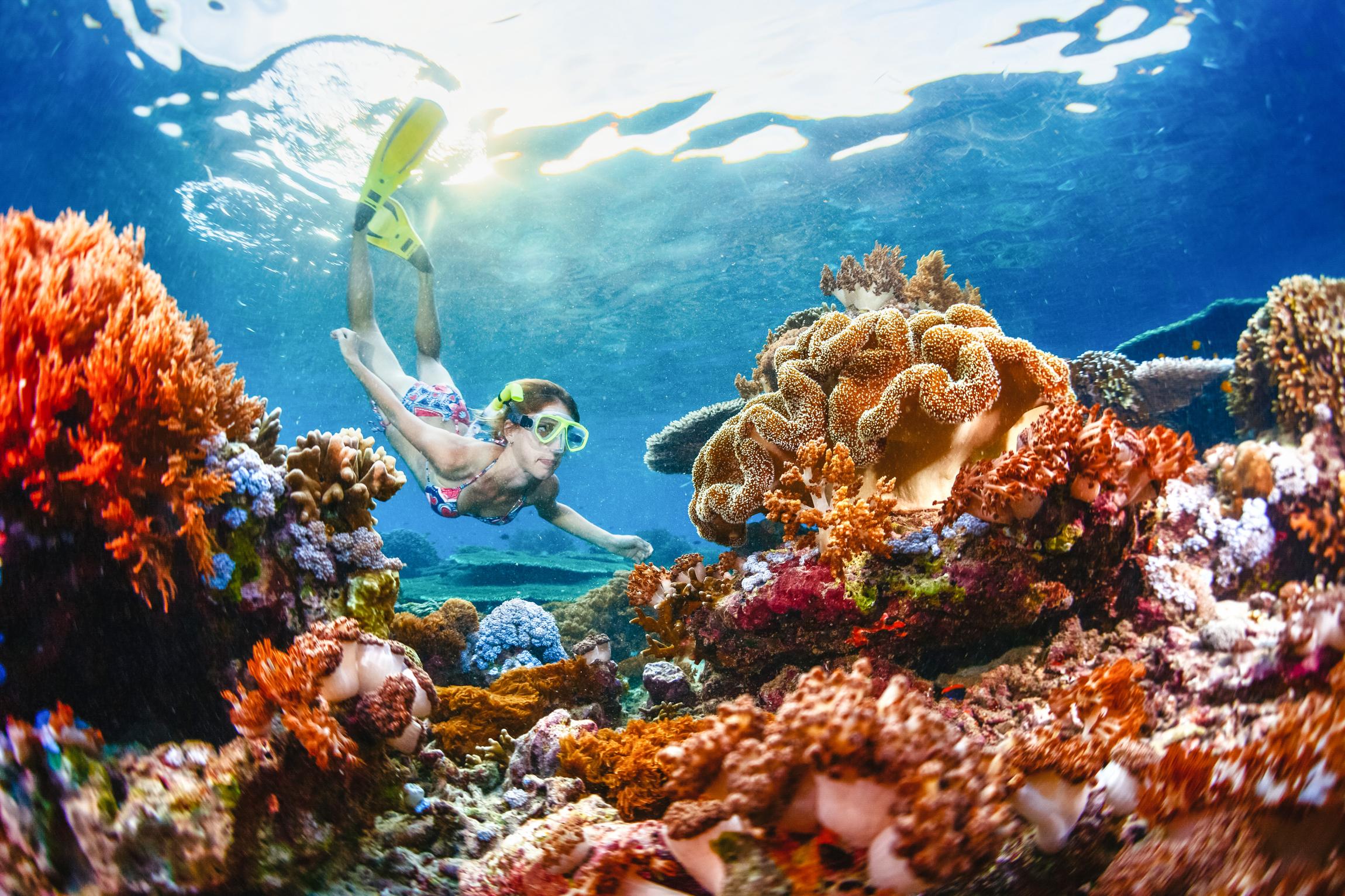 Half-Day Snorkeling Adventure: Nusa Lembongan & Nusa Penida