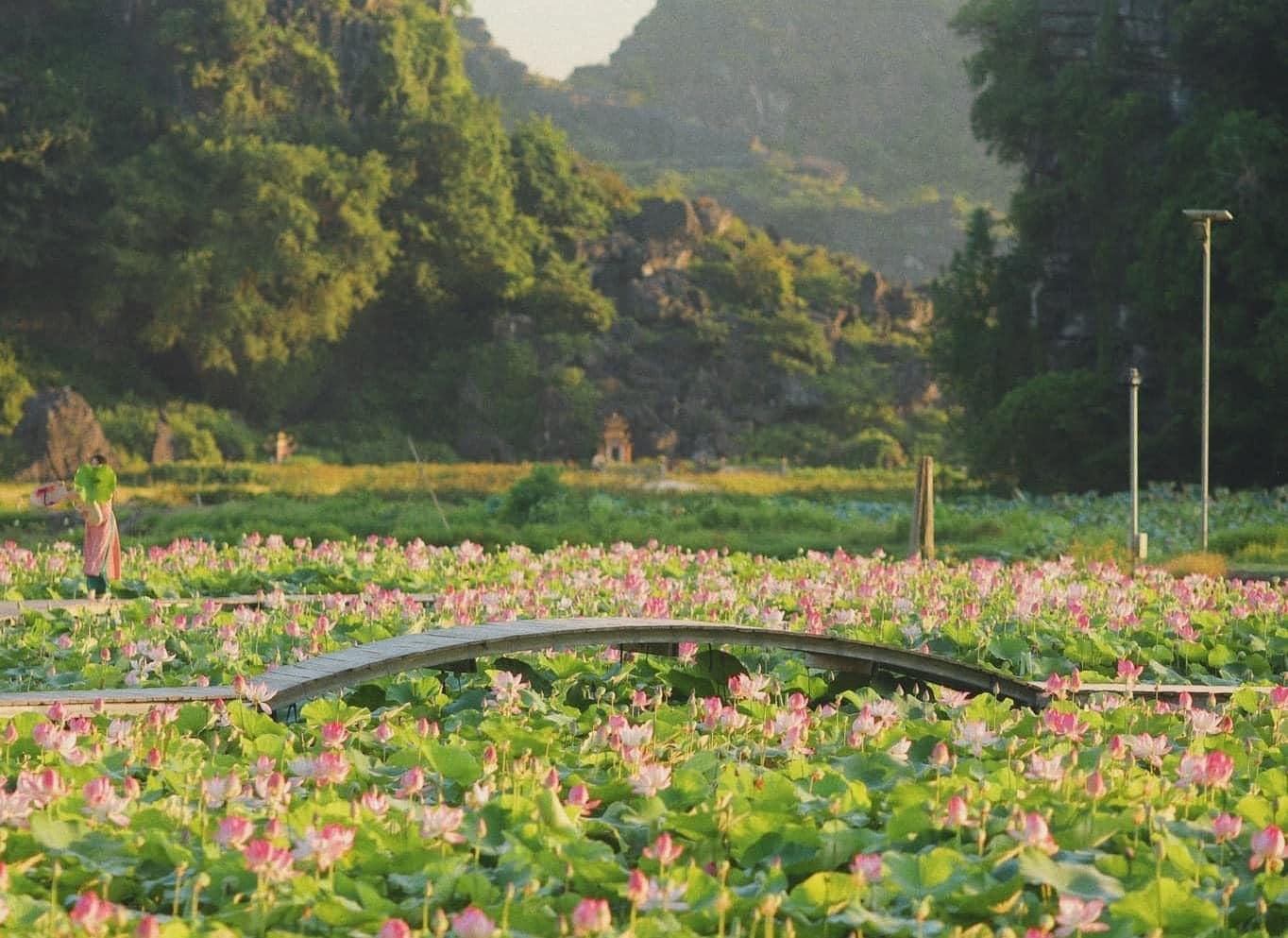 Private Ninh Binh Full-Day Tour: Hoa Lu, Bai Dinh, Trang An & Mua Cave