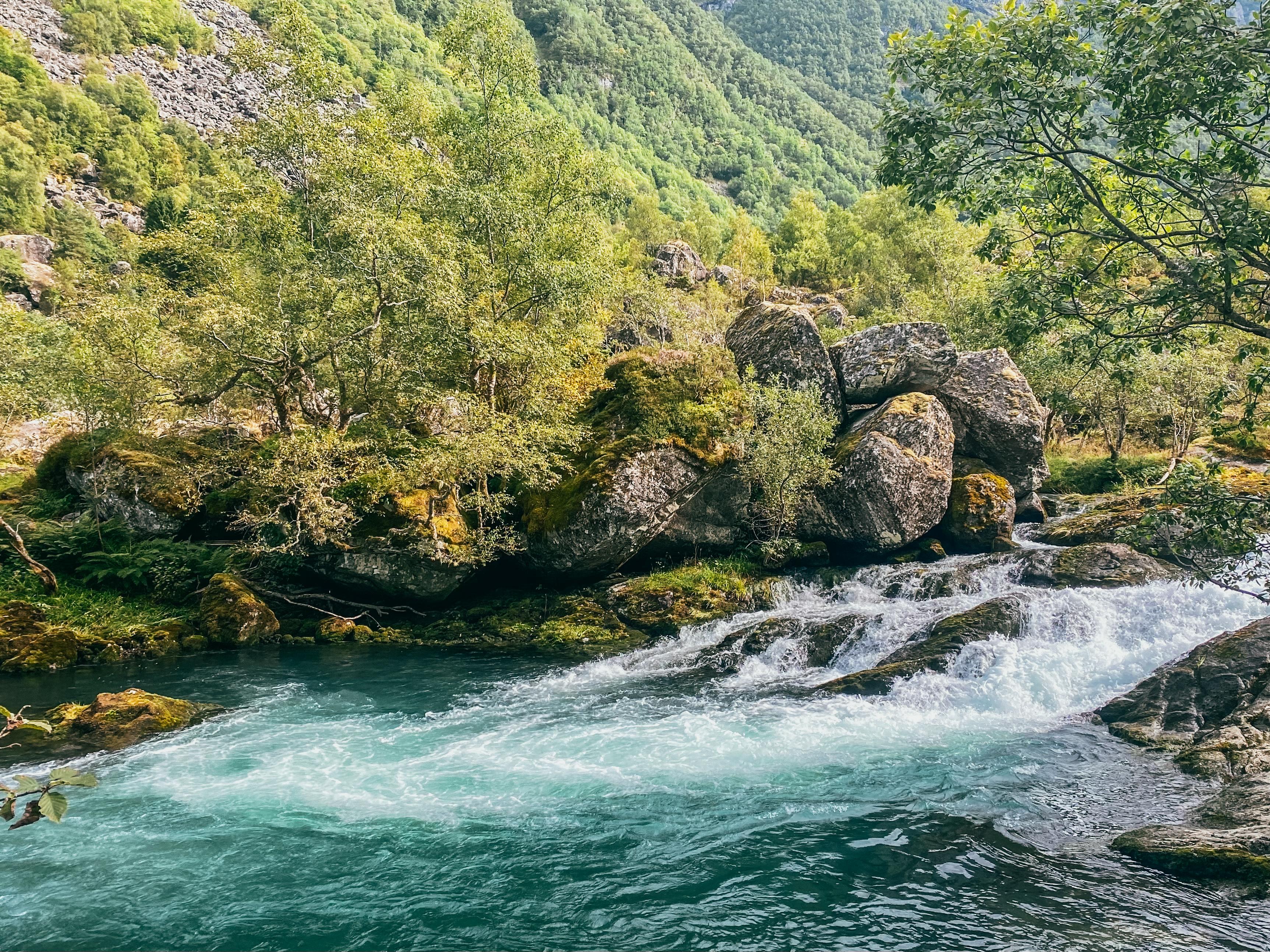 Bergen: Folgefonna National Park & Glacier Lake Tour & Lunch - 2026 (Verified Reviews)