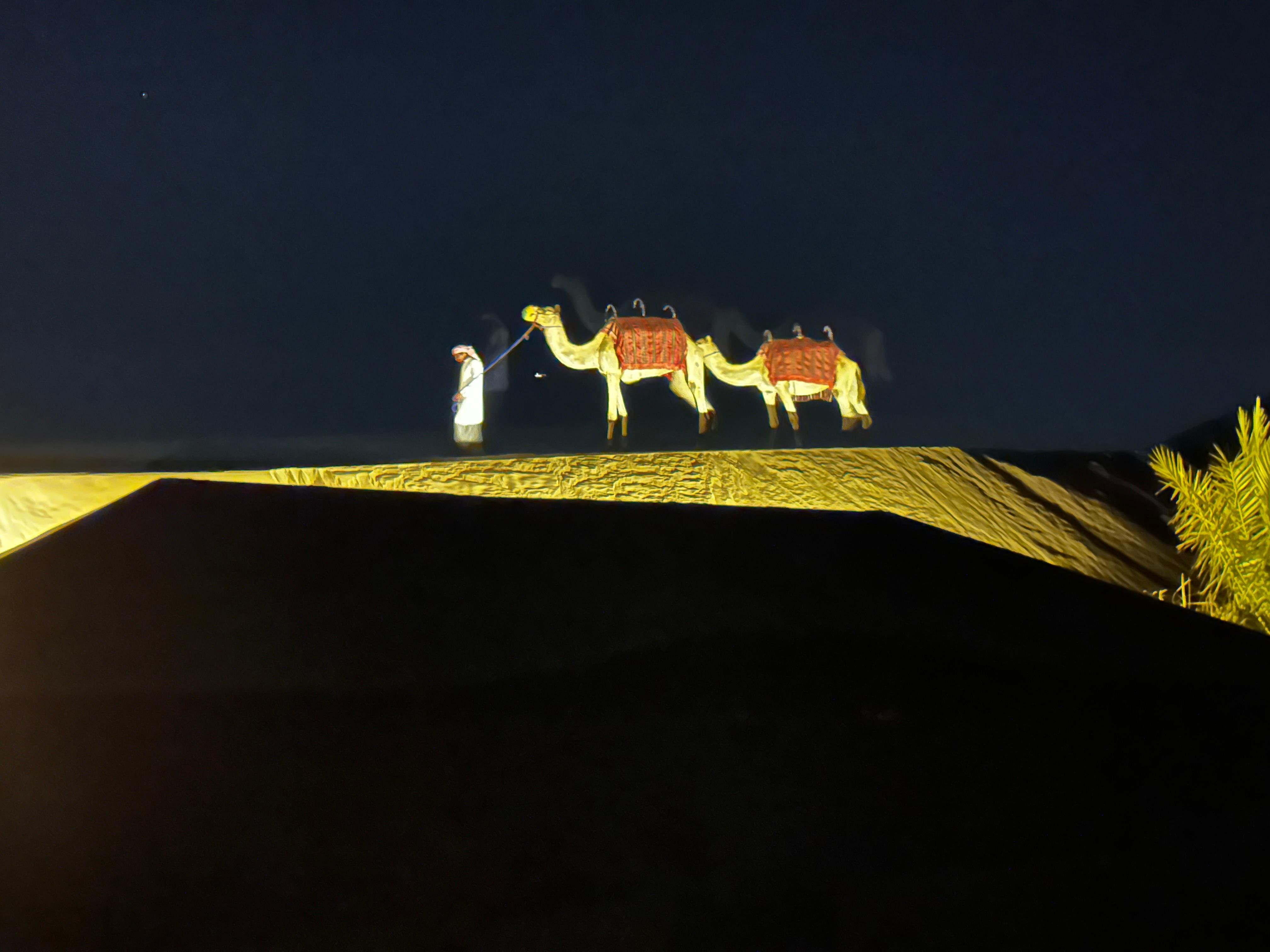 Abu Dhabi Evening Desert Safari with BBQ & Live Entertainment