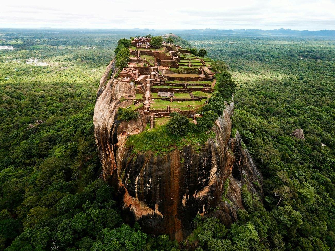 7-Day Private Sri Lanka Highlights Tour (2026)