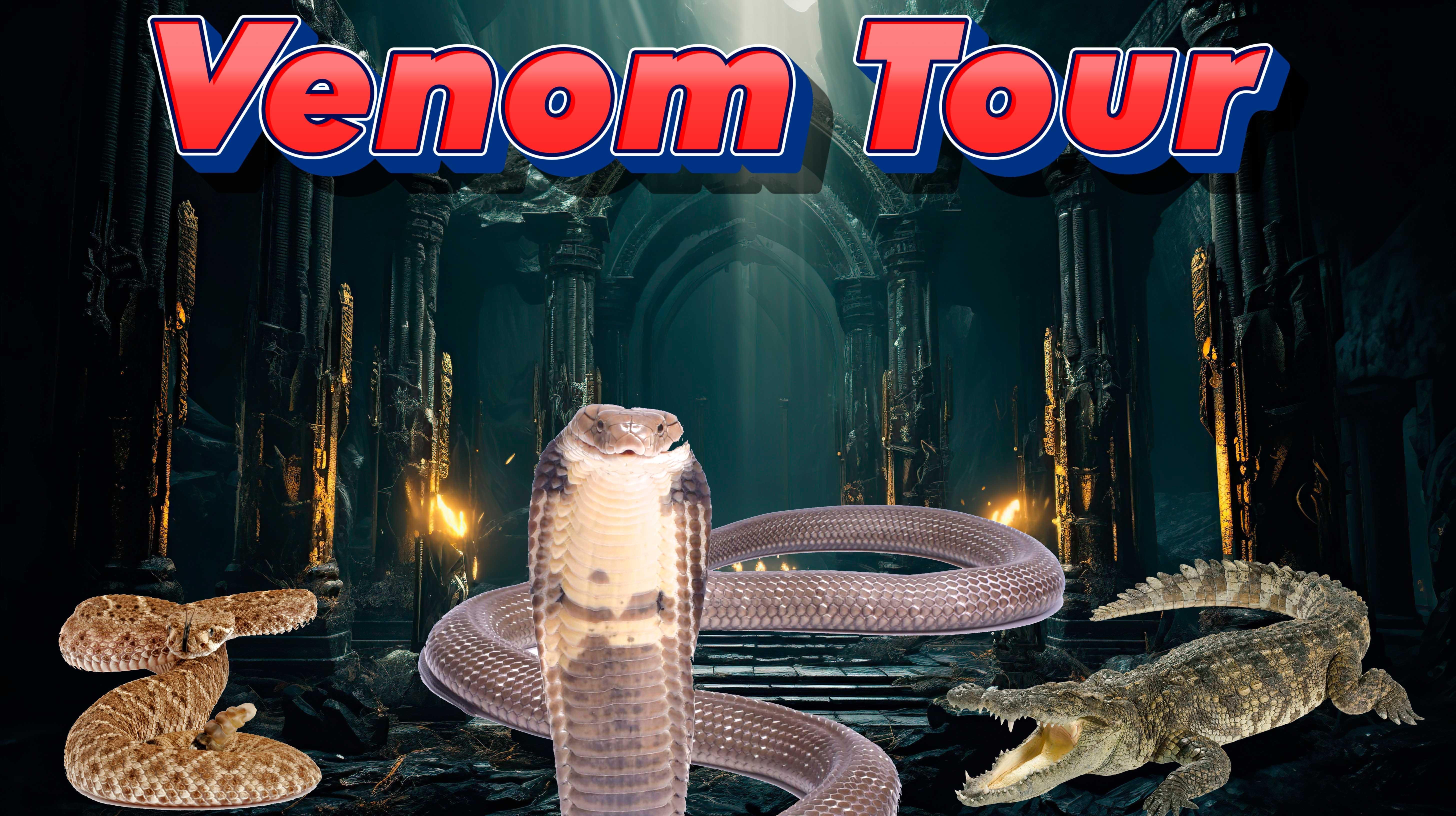 Bristol Venomous Snake Encounter with Crocodile Photo