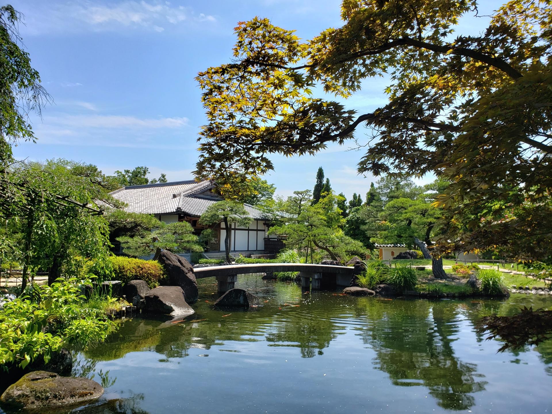 From Osaka: Himeji Castle, Arima Onsen & Mt. Rokko Day Tour - 2026 (Verified Reviews)