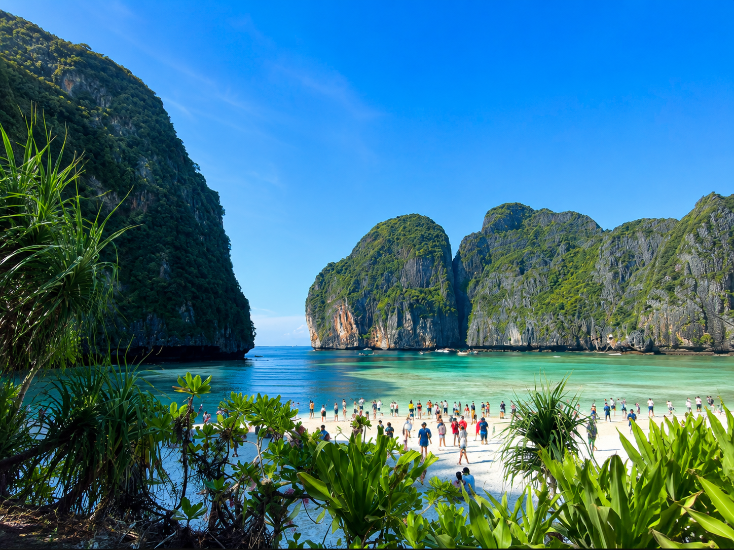 Phi Phi Islands & Shark Point Snorkeling Adventure