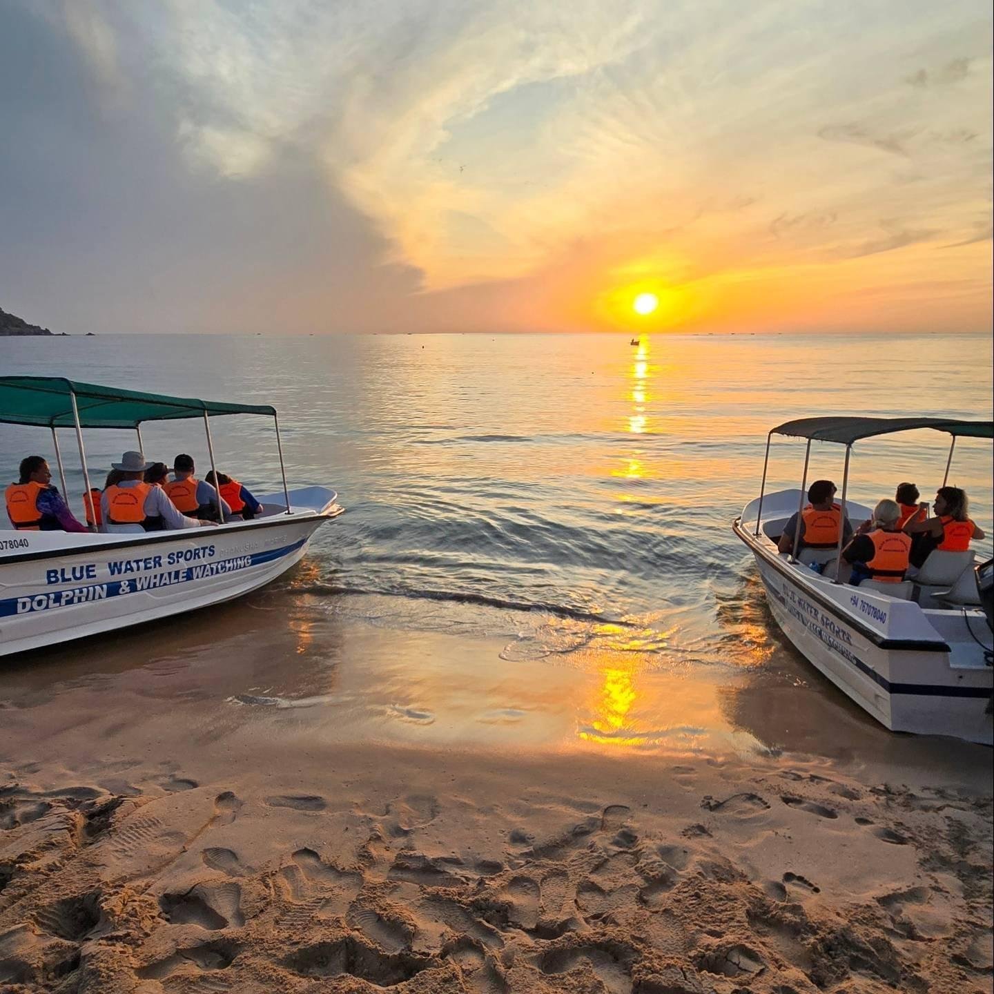 Trincomalee Ocean Safari: Whale & Dolphin Watching from Pasikuda