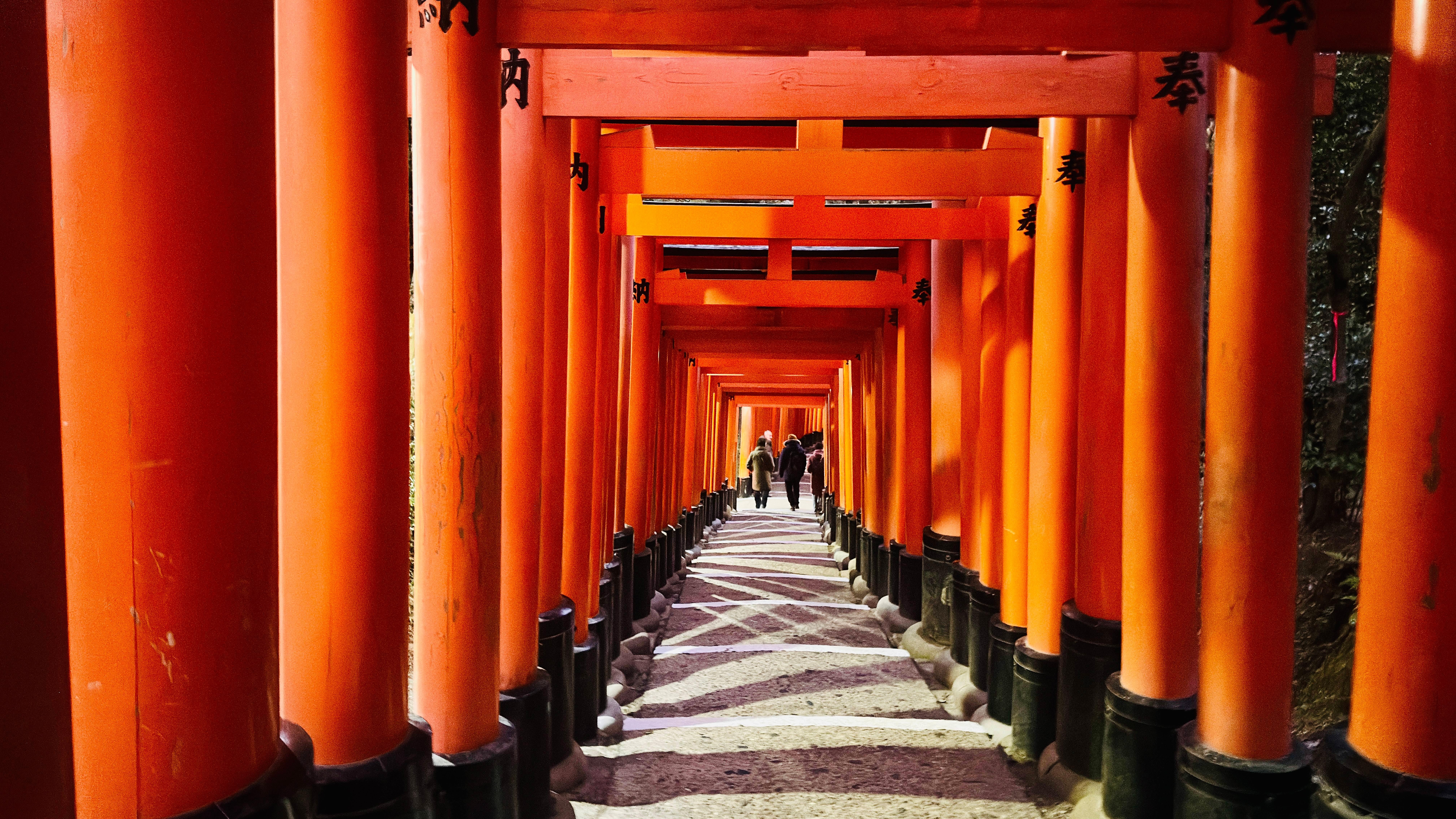 Privat høydepunkts-tur i Kyoto med sjåfør og engelskspråklig guide