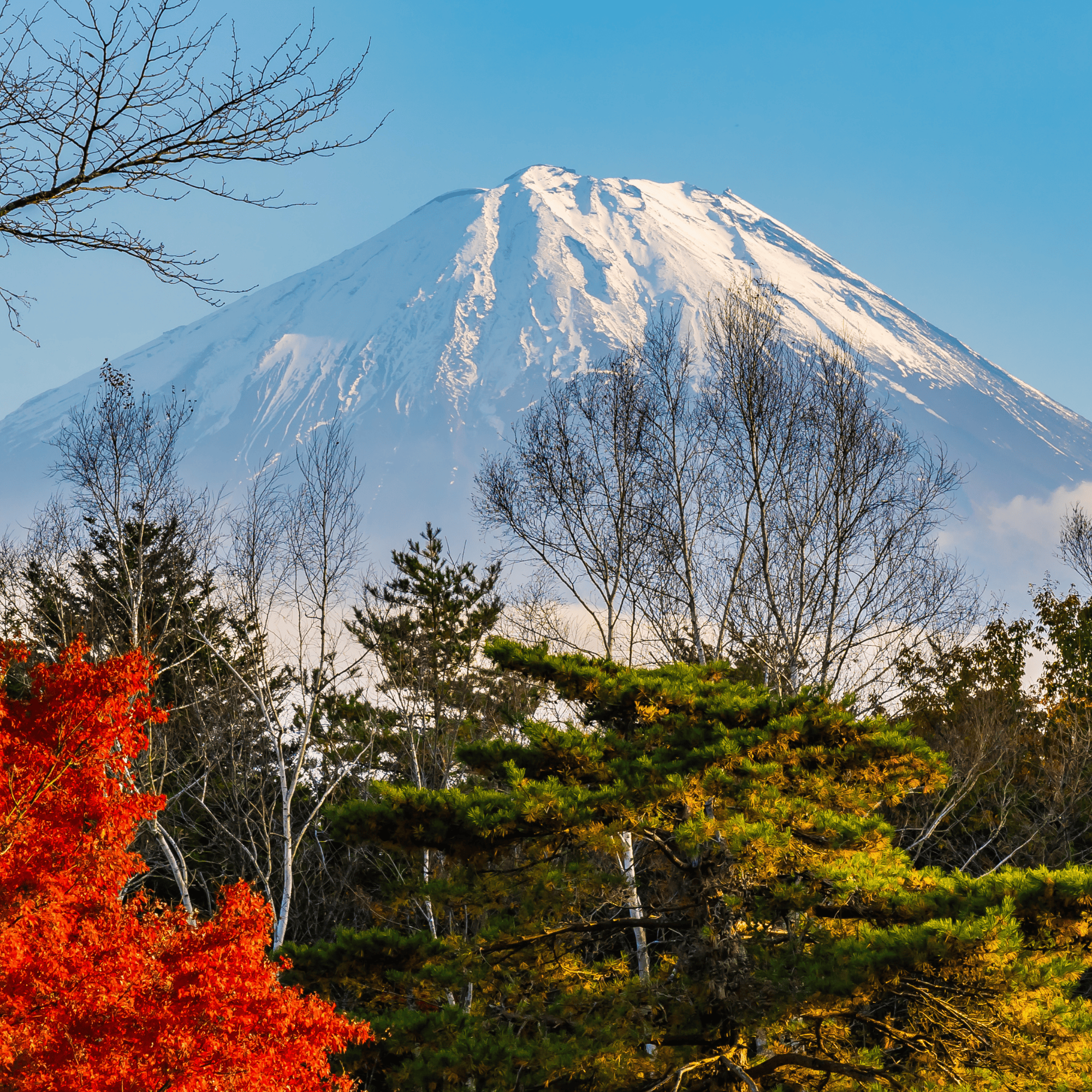 Private Mount Fuji & Hakone Day Tour from Tokyo