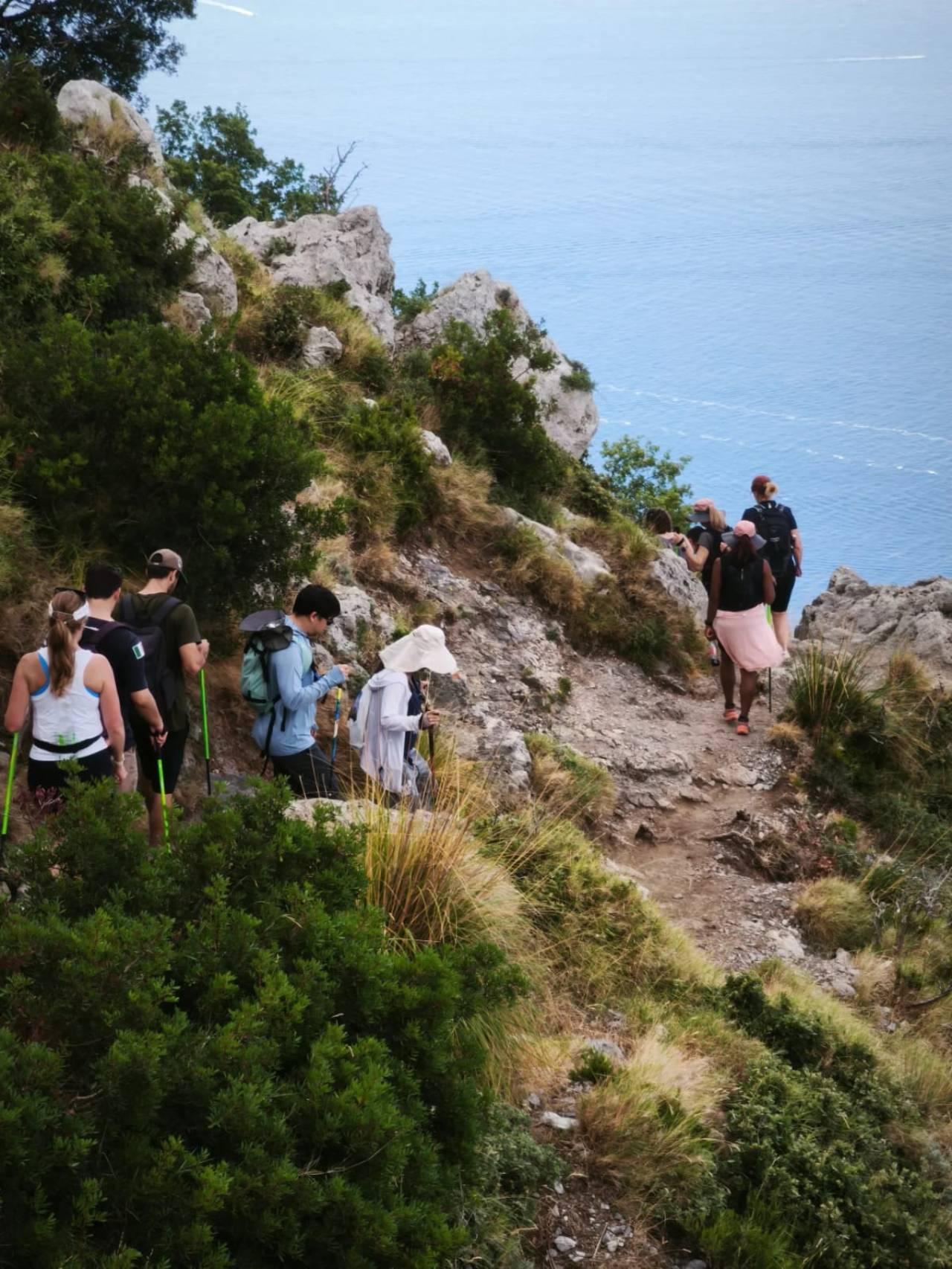 Path of the Gods Guided Hike from Sorrento with Local Tasting