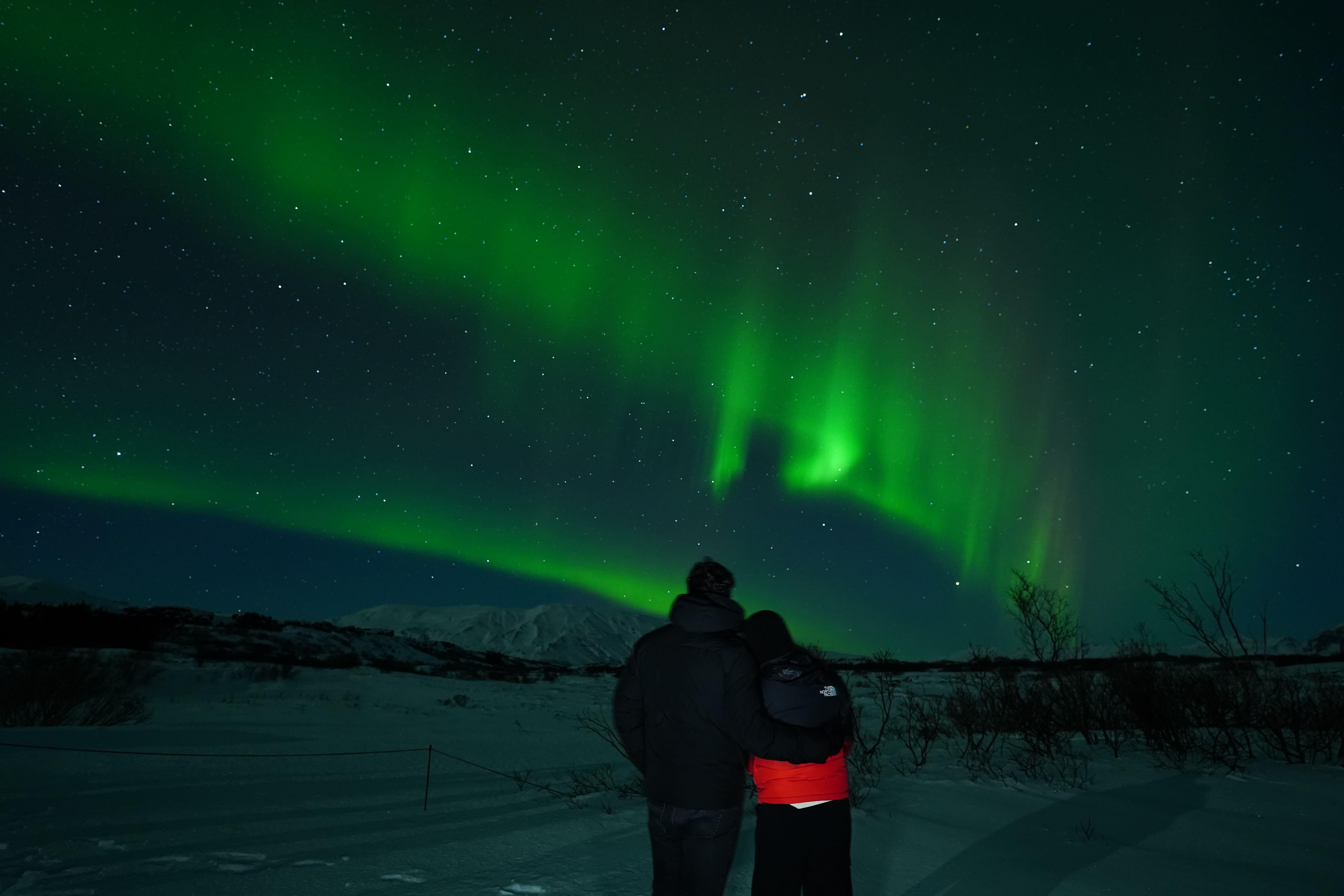 Reykjavik Northern Lights Minibus Hunt with Hot Cocoa