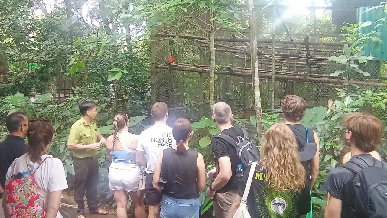 Cuc Phuong National Park: Jungle Trek & Wildlife Day Trip from Ninh Binh