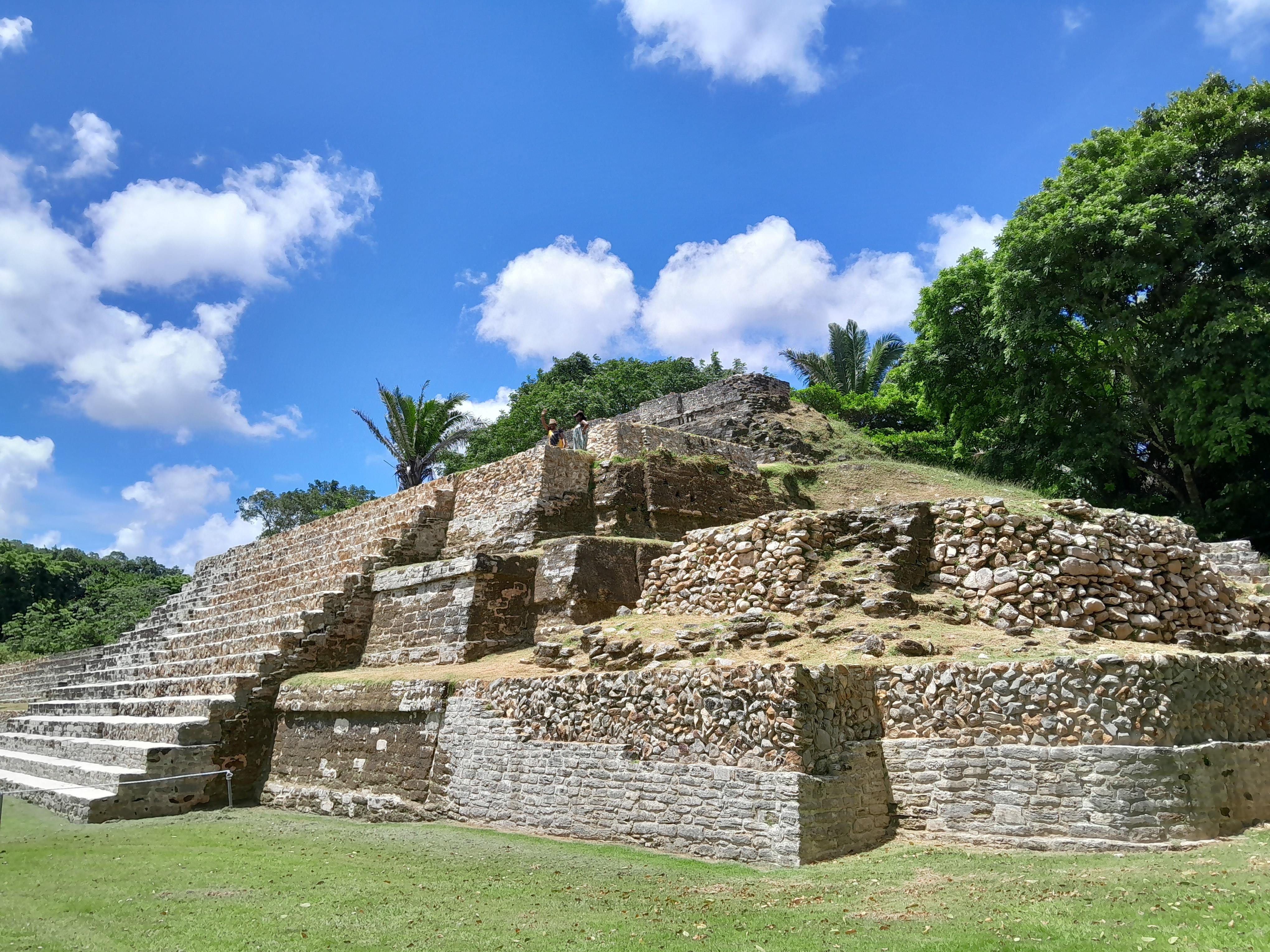 Altun Ha Maya Ruins & Crooked Tree Birding Adventure